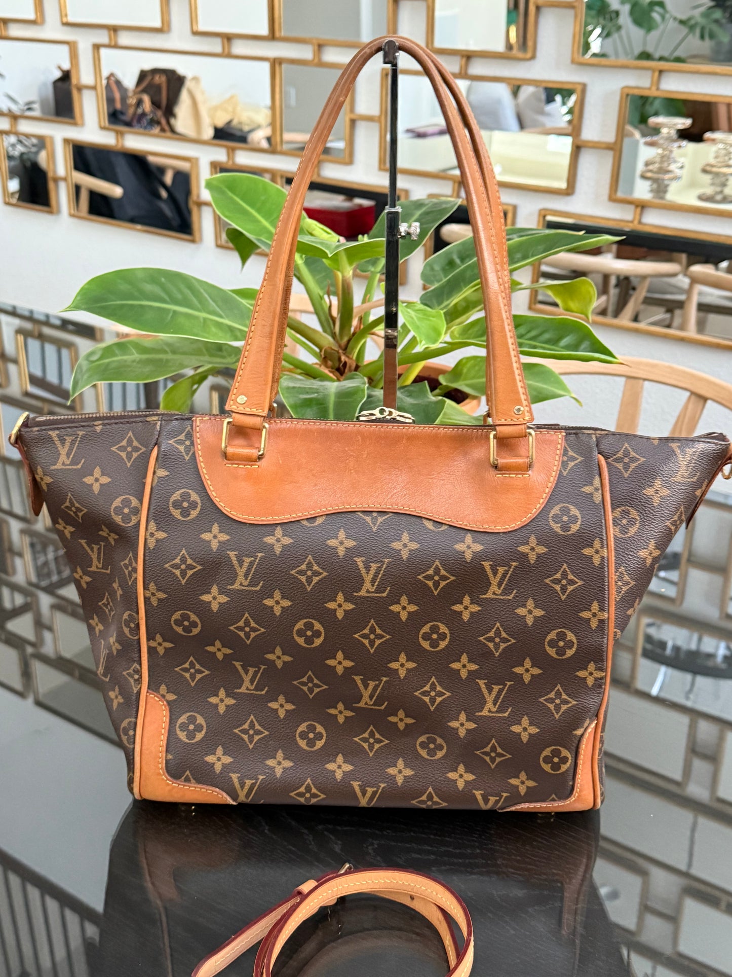 Estrela NM MM with Dustbag-๐๏ธ Year: 2014