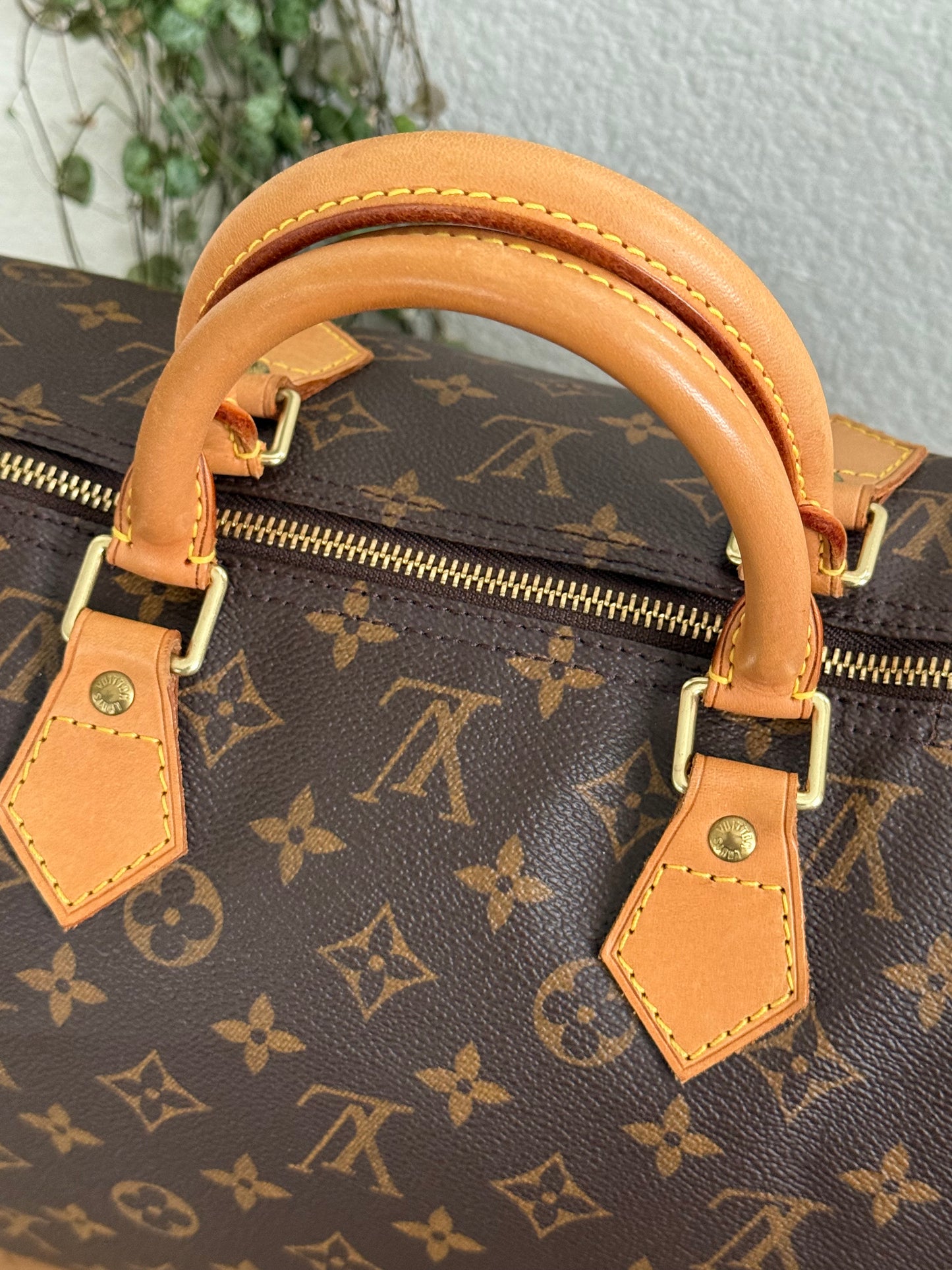 Speedy 40 - ๐
2000