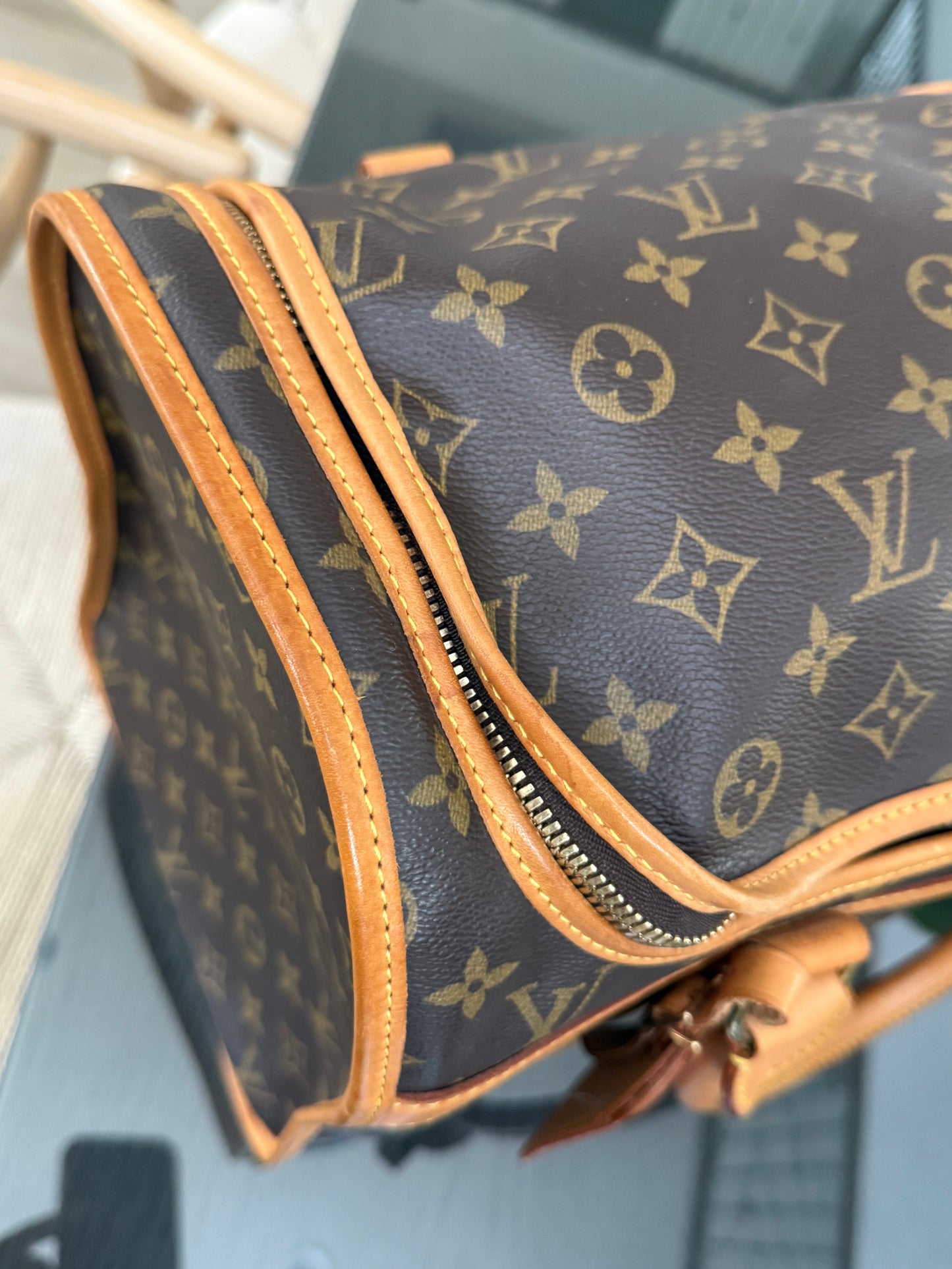 Sac Chien Monogram Pet Carrier 40 with Luggage Tag 🗓️ Year: 2004