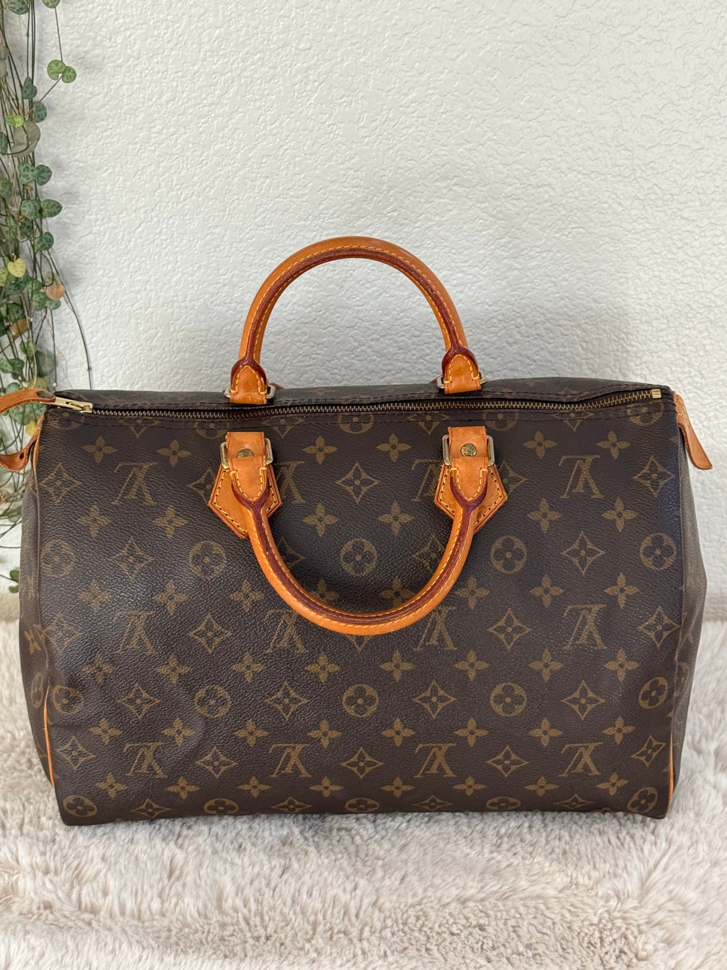 Speedy 35 with Dustbag- π
Year: 1994
