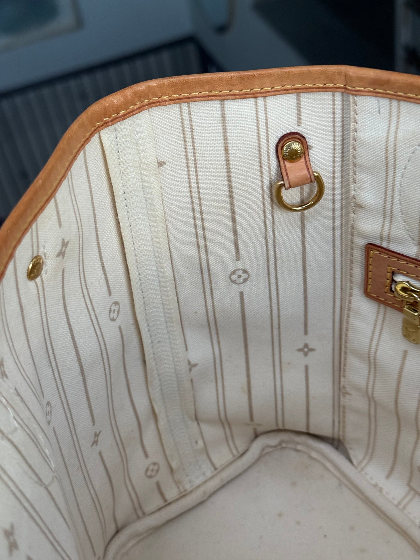 Neverfull PM in Azur with Dustbag and Insert Organizer ๐๏ธ Year: 2012
