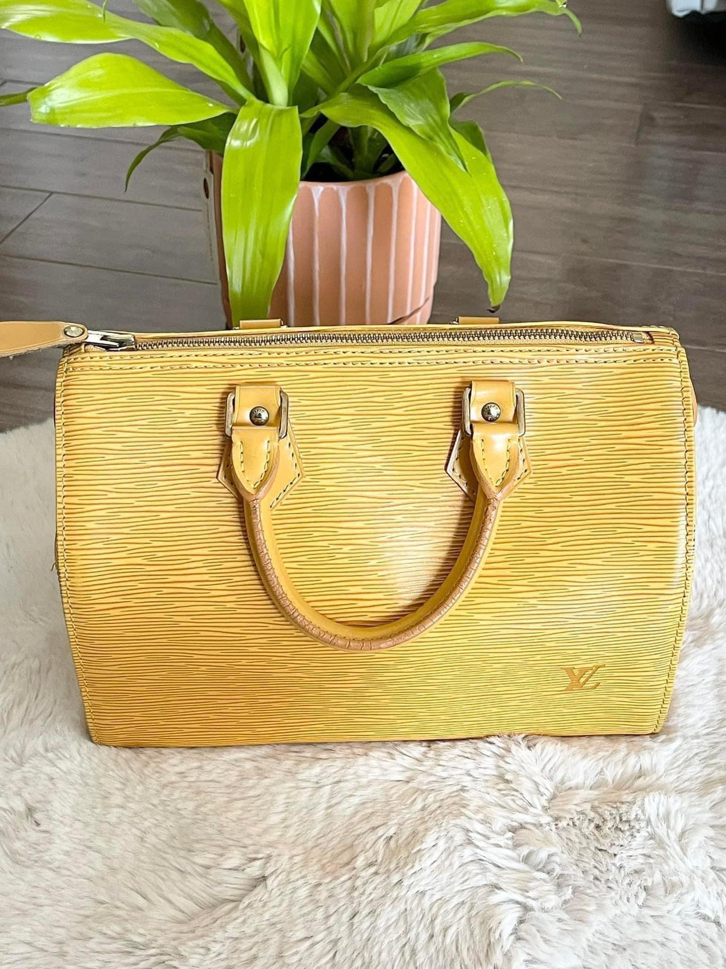Epi Speedy 25 in Tassel Yellow -Year: 1994