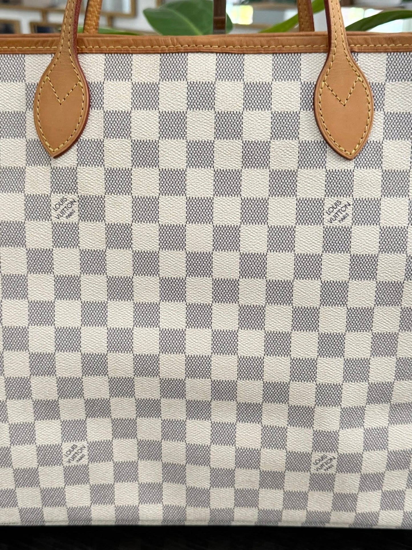 Neverfull GM in Azur with Dustbag Insert Organizer 🗓️ Year: 2012