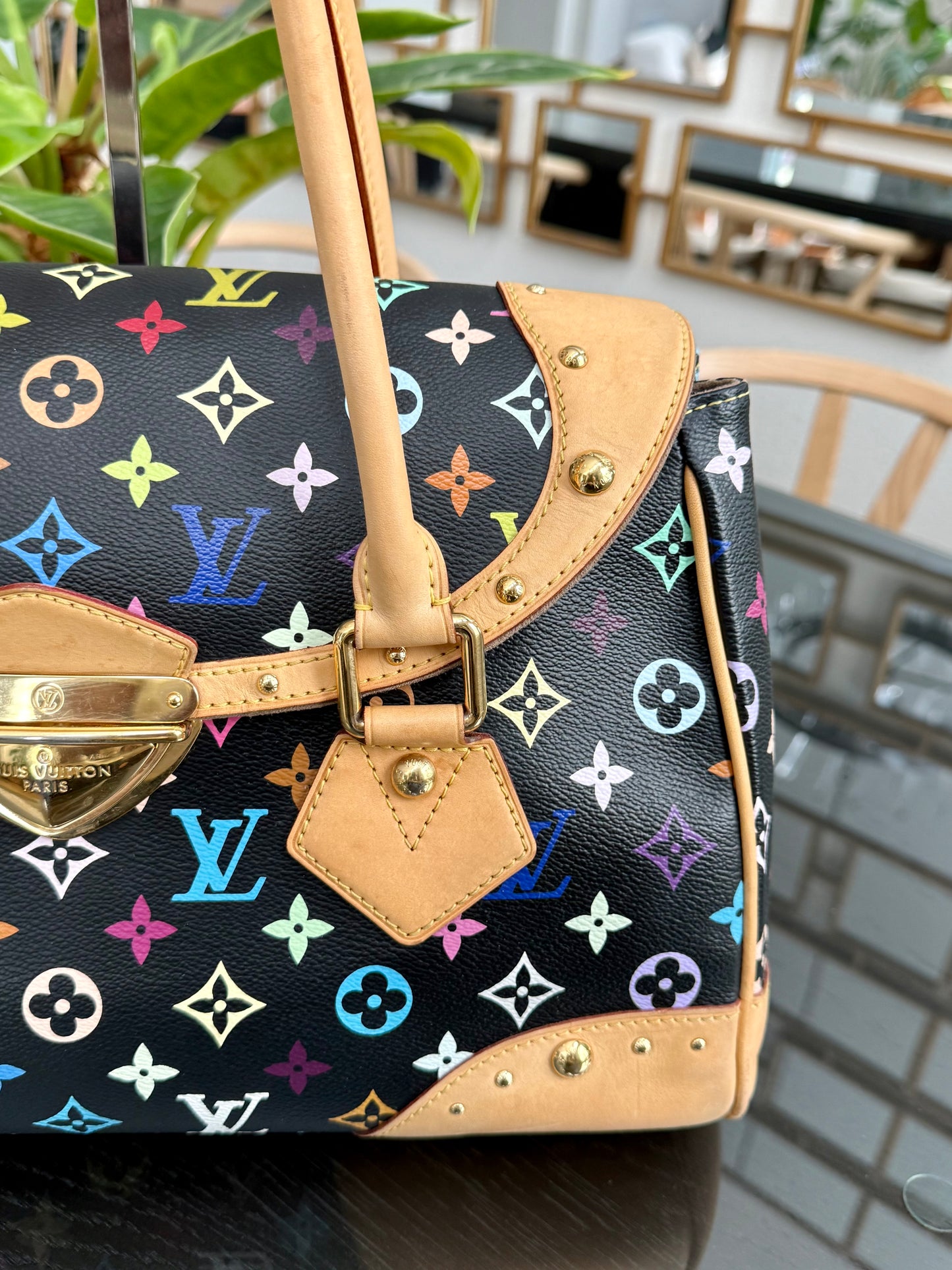 Multicolor Beverly GM with Dustbag π
Year: 2008