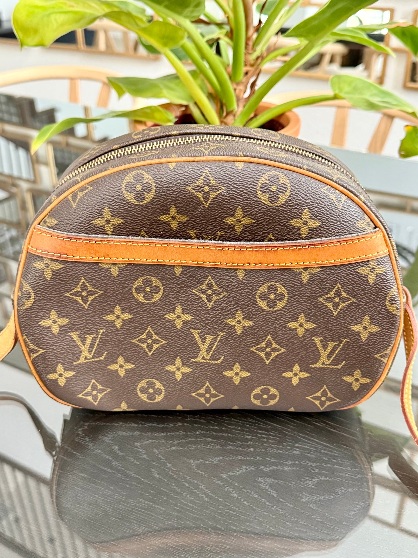 Blois Crossbody -🗓️ Year: 2000