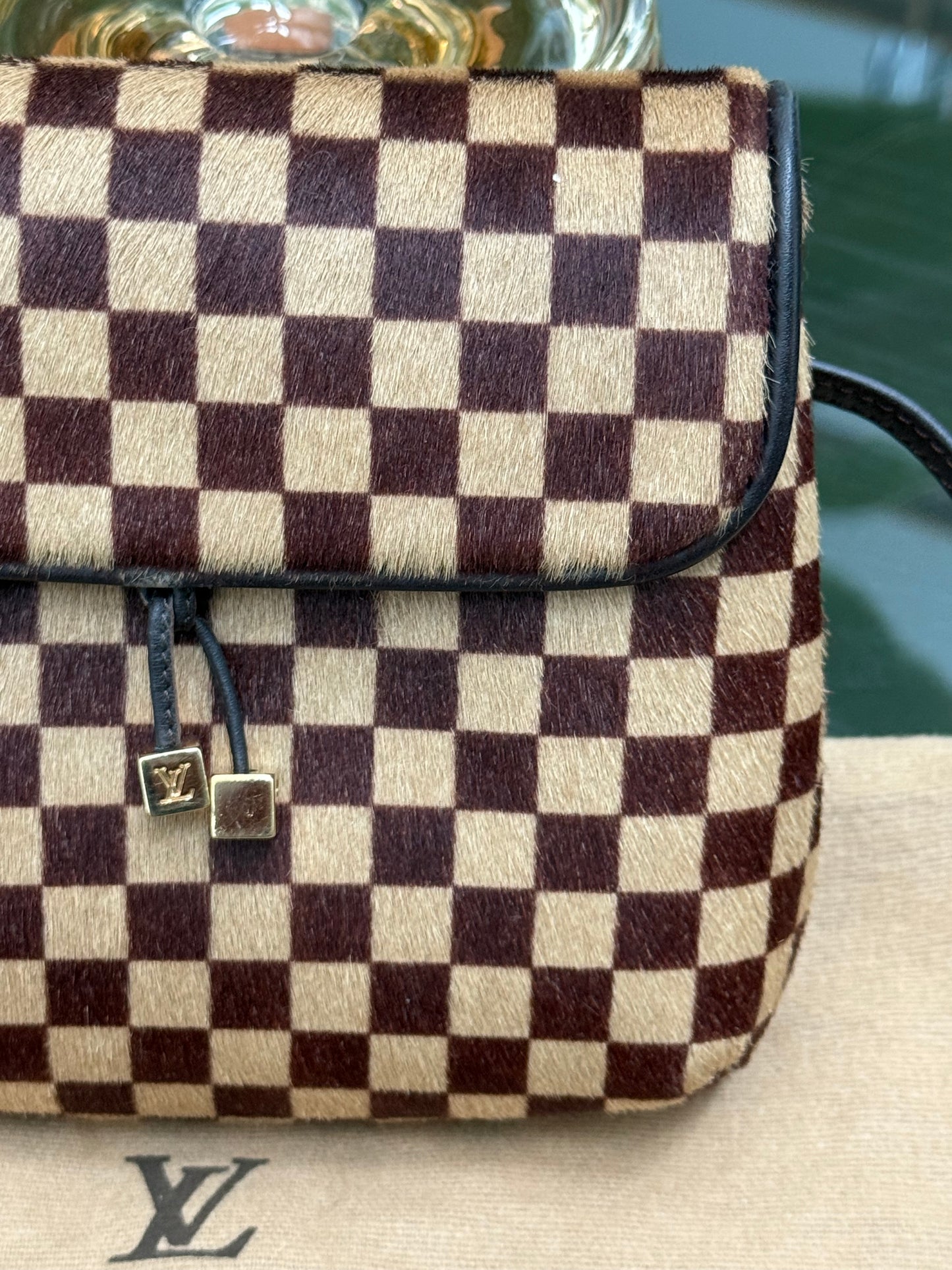 Damier Sauvage Gazelle Crossbody Pouch with Dustbag -🗓️ Year: 2001