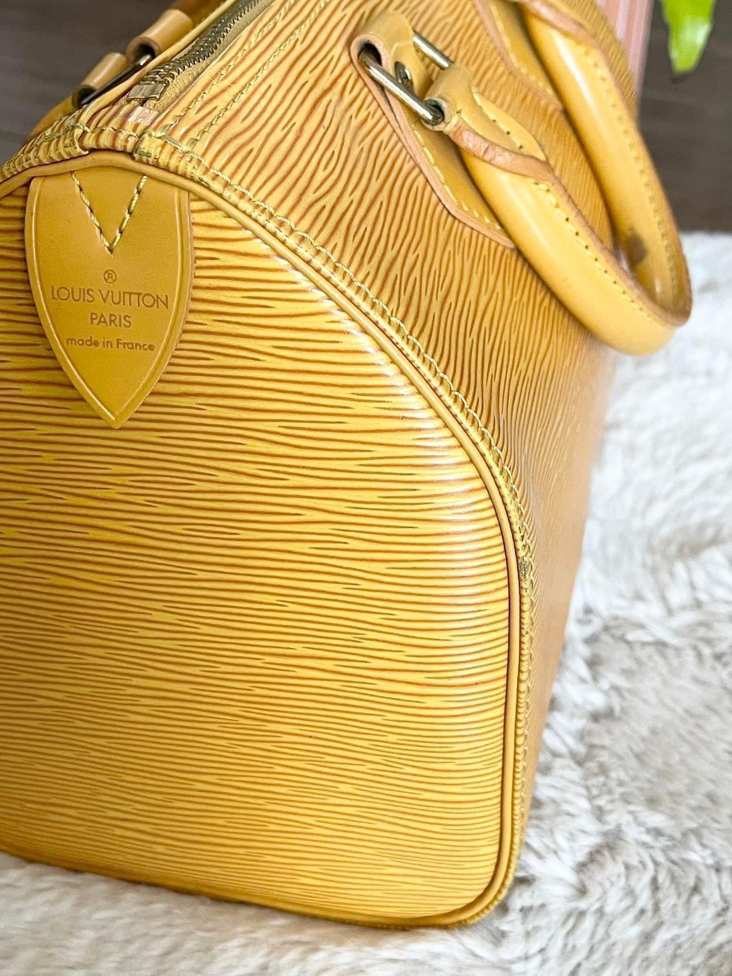 Epi Speedy 25 in Tassel Yellow -Year: 1994