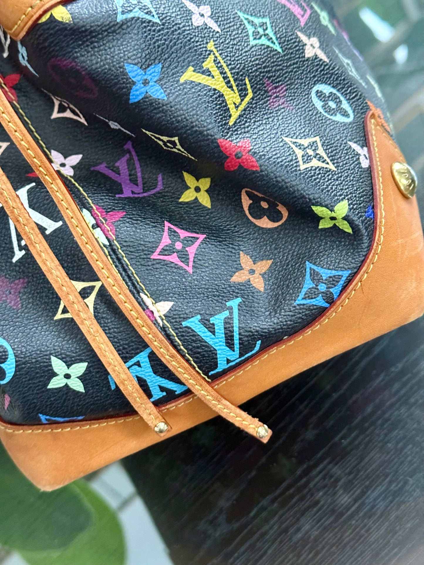 Multicolor in Black Ursula with Dustbag