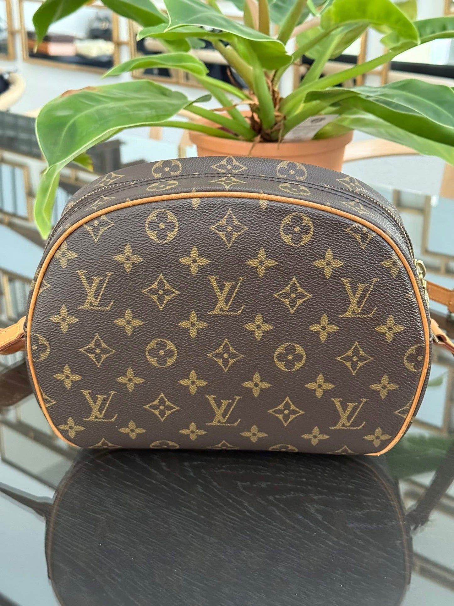 Blois Crossbody -๐๏ธ Year: 1995