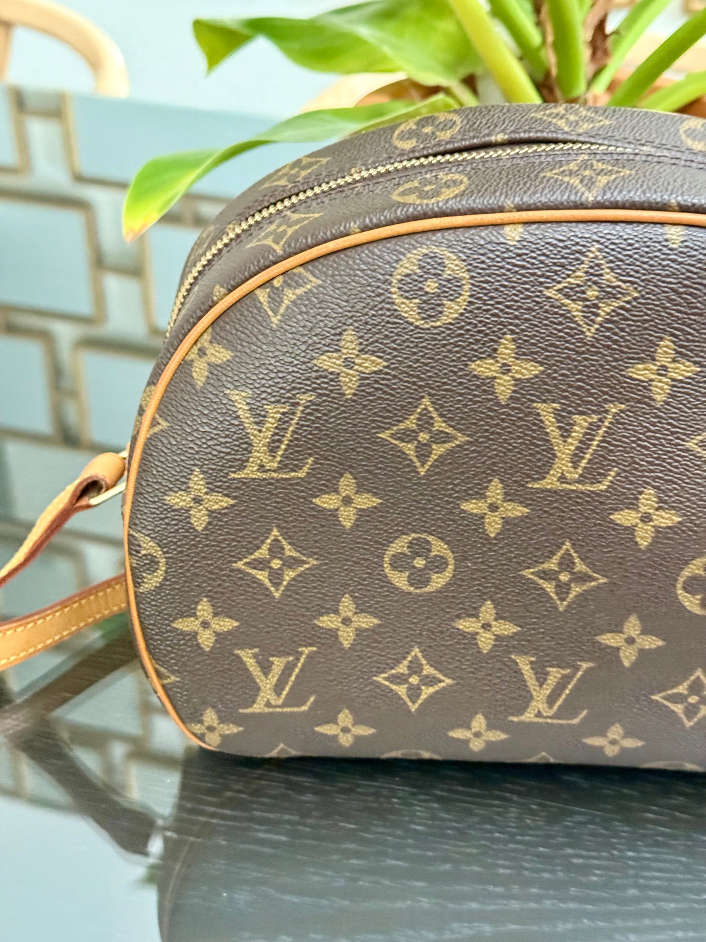 Blois Crossbody -🗓️ Year: 2000
