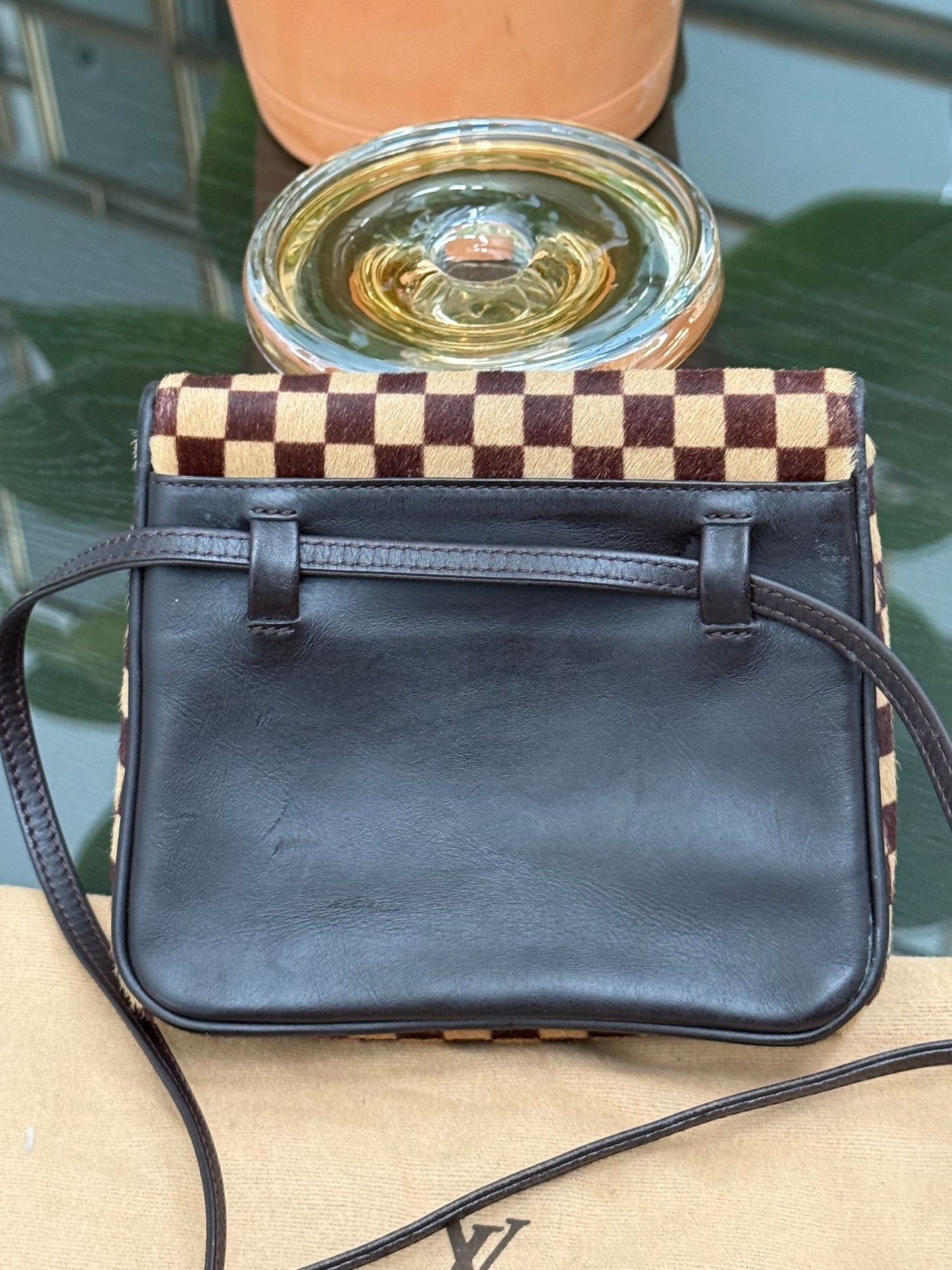 Damier Sauvage Gazelle Crossbody Pouch with Dustbag -🗓️ Year: 2001