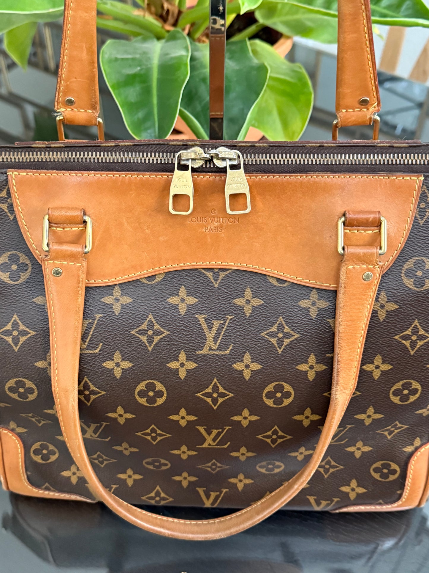 Estrela NM MM with Dustbag-๐๏ธ Year: 2014