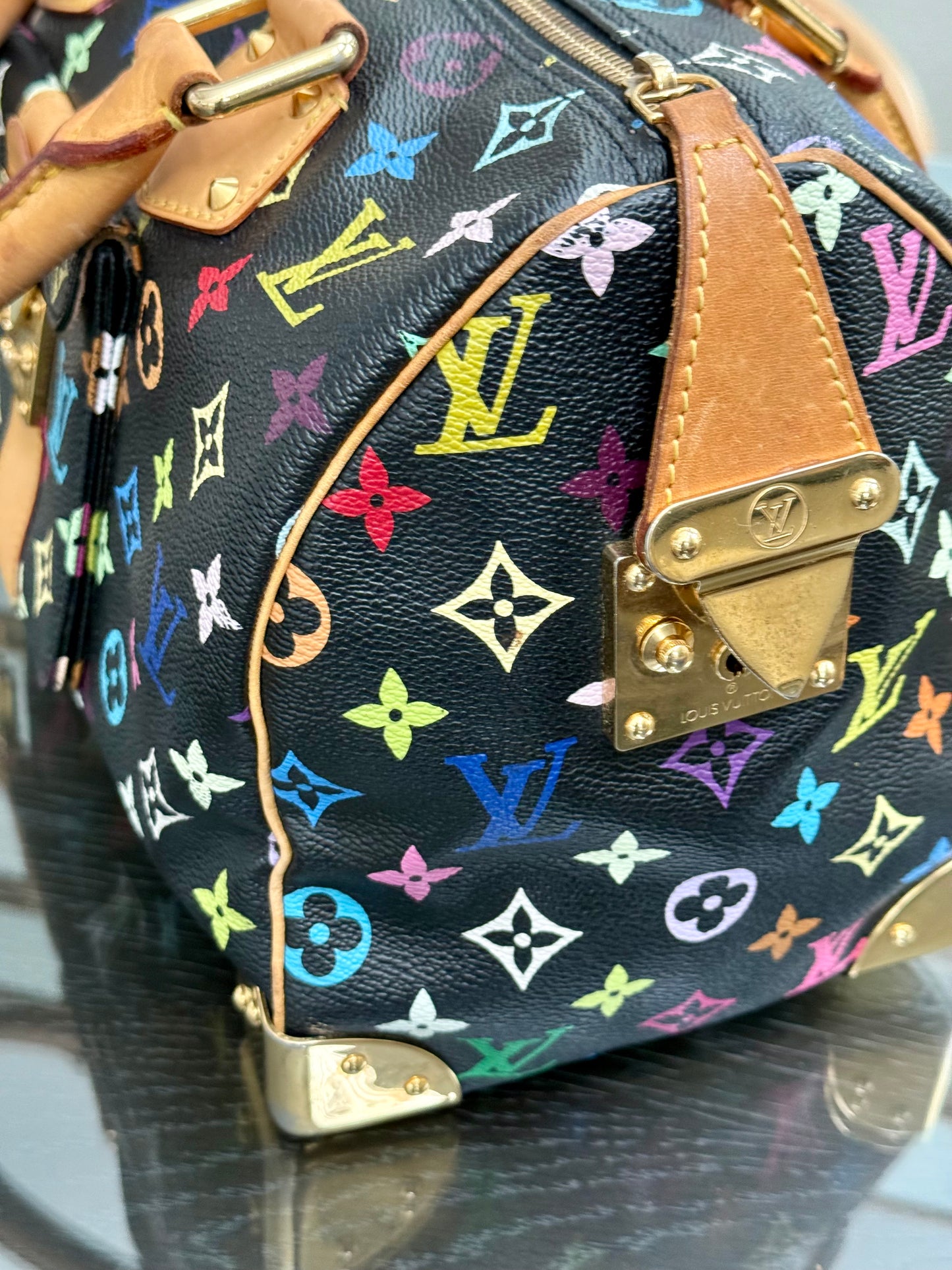 Multicolor Speedy 30 with Dustbag, Insert Organizer and twilly set π
Year: 2008