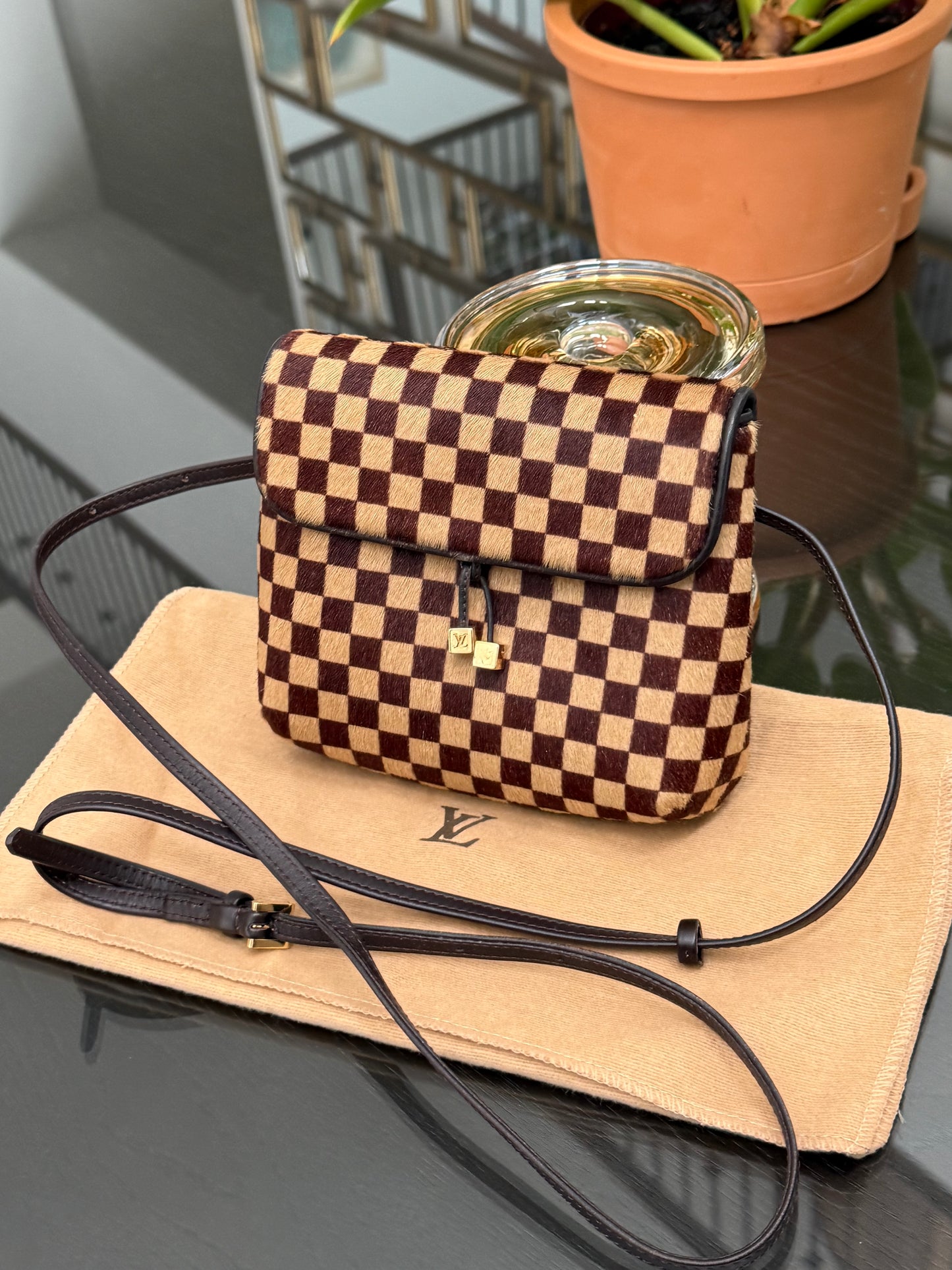 Damier Sauvage Gazelle Crossbody Pouch with Dustbag -🗓️ Year: 2001