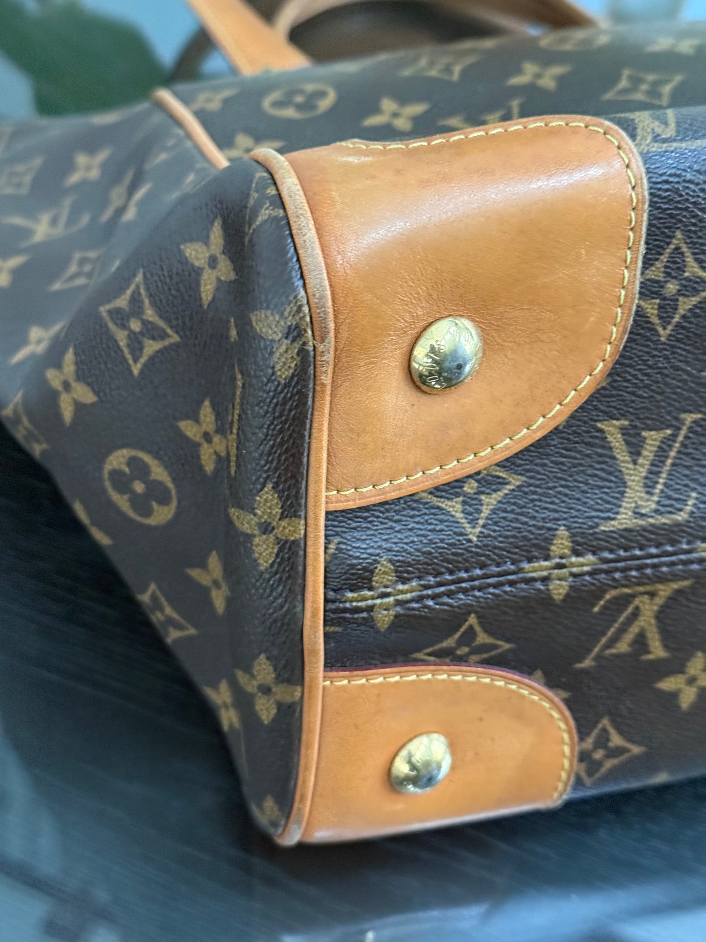 Estrela NM MM with Dustbag-๐๏ธ Year: 2014
