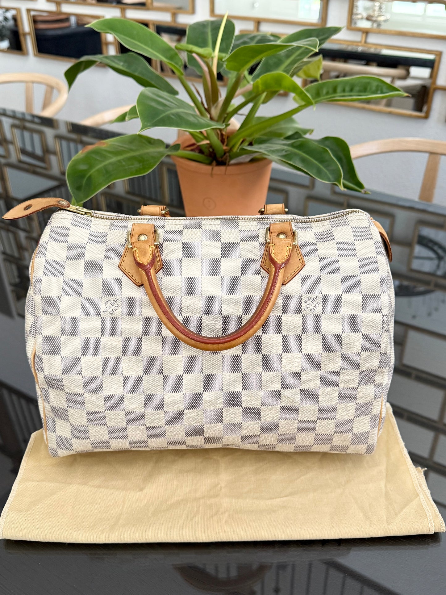 Speedy 30 Azur with Dustbag and insert organizer
๐๏ธ Year: 2007