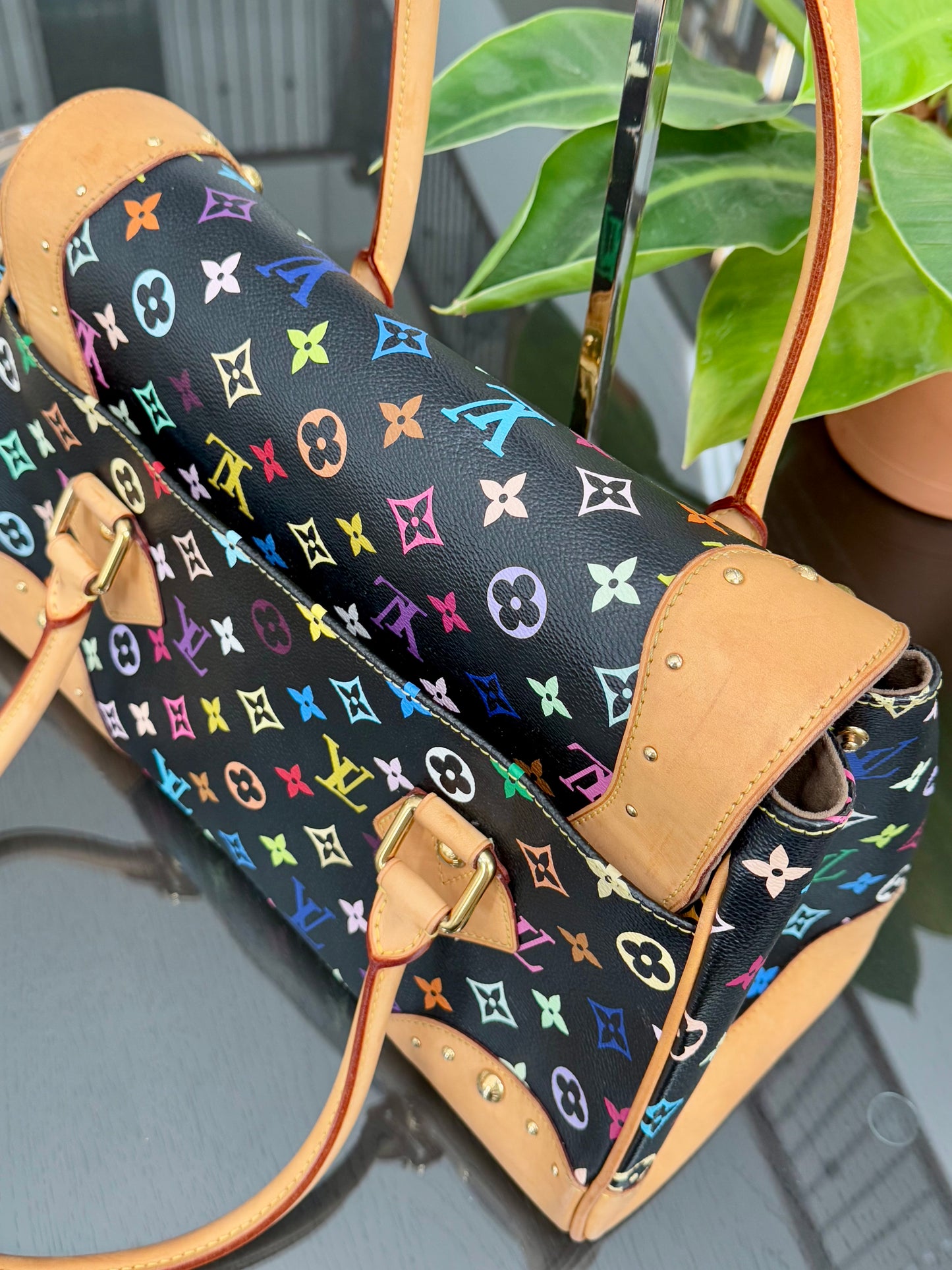 Multicolor Beverly GM with Dustbag ๐
Year: 2000