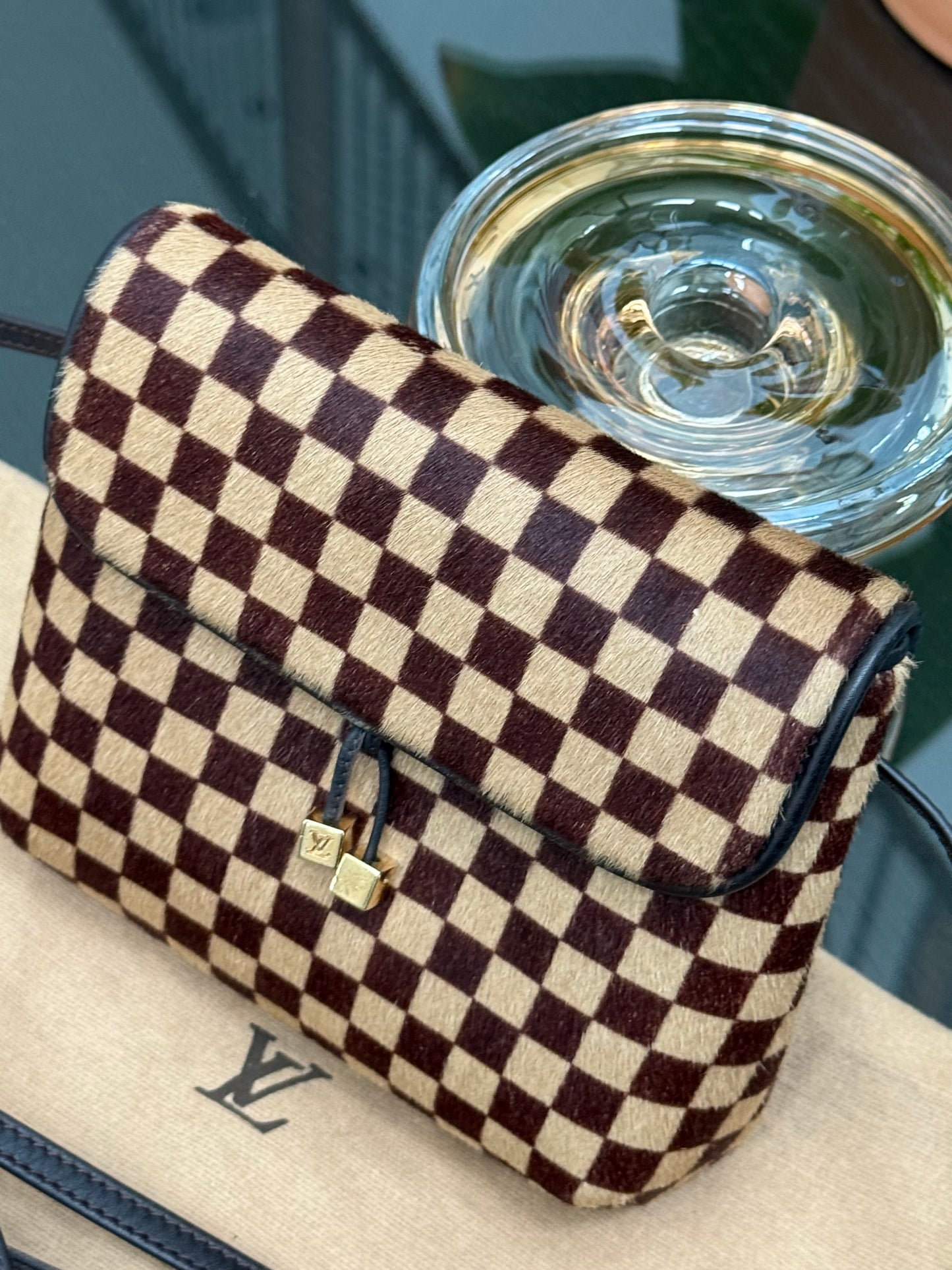 Damier Sauvage Gazelle Crossbody Pouch with Dustbag -🗓️ Year: 2001