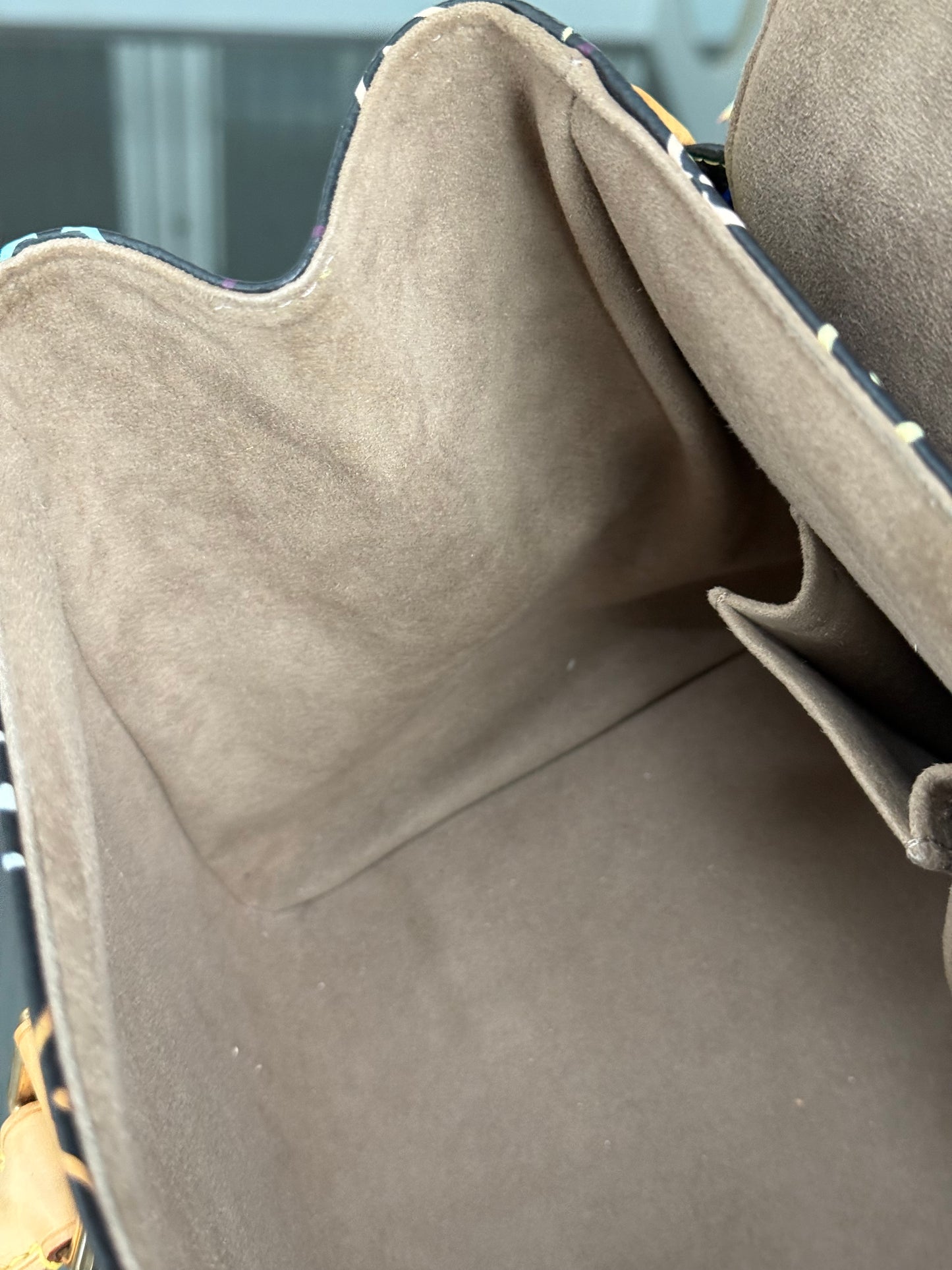 Multicolor Beverly GM with Dustbag π
Year: 2008