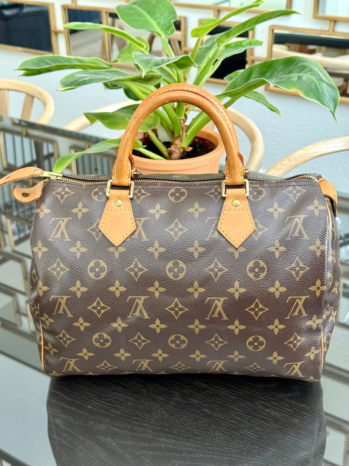 Speedy 30 with Dustbag 🗓️ Year: 2008