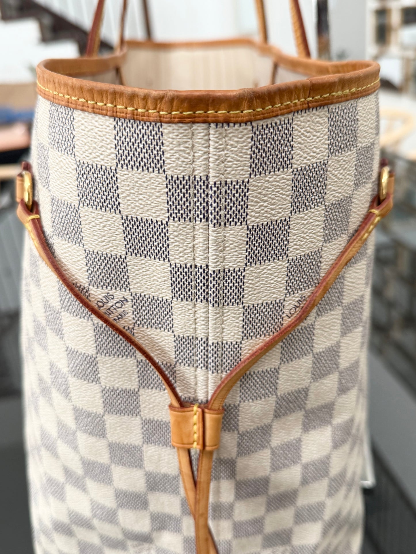 Neverfull GM in Azur with Dustbag Insert Organizer 🗓️ Year: 2011