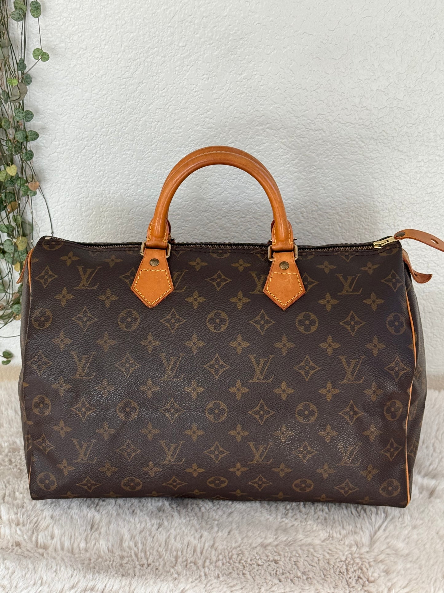 Speedy 35 with Dustbag- π
Year: 1994
