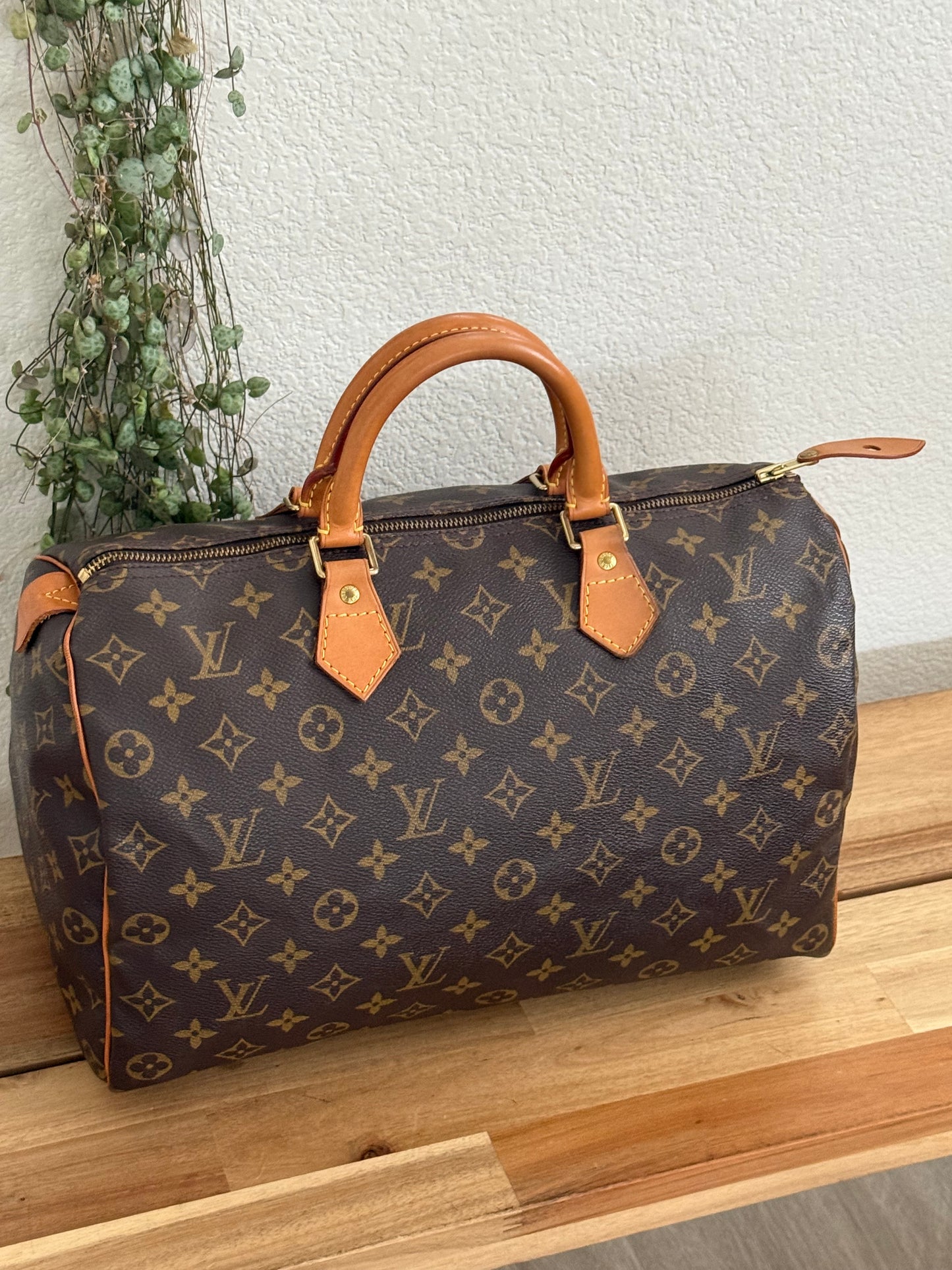 Speedy 35 with Dustbag - ๐
Year: 2000