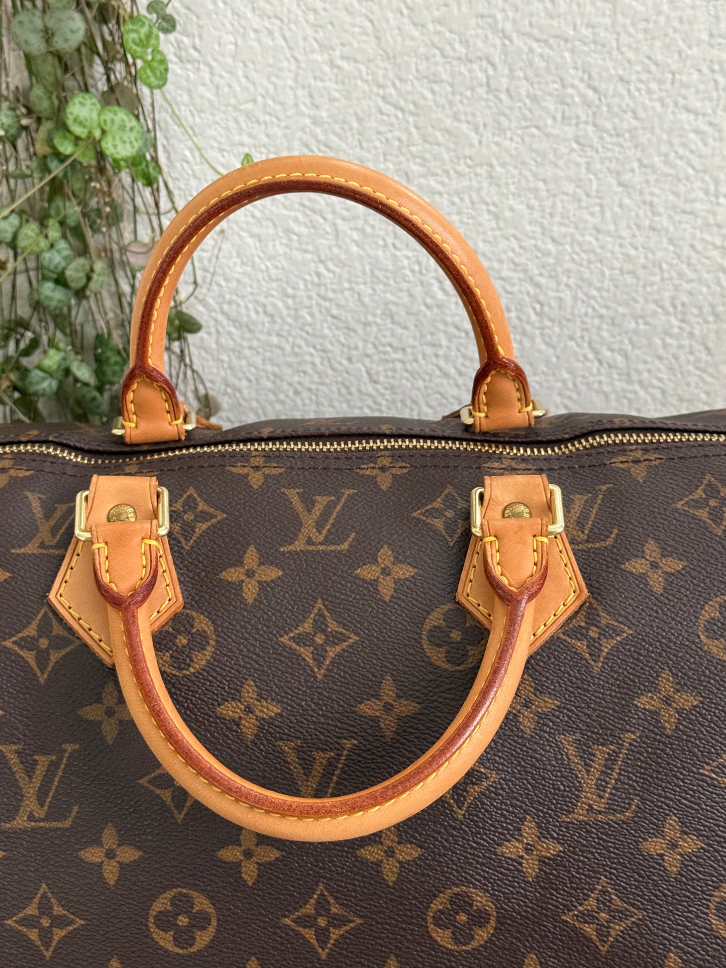 Speedy 40 - ๐
2000