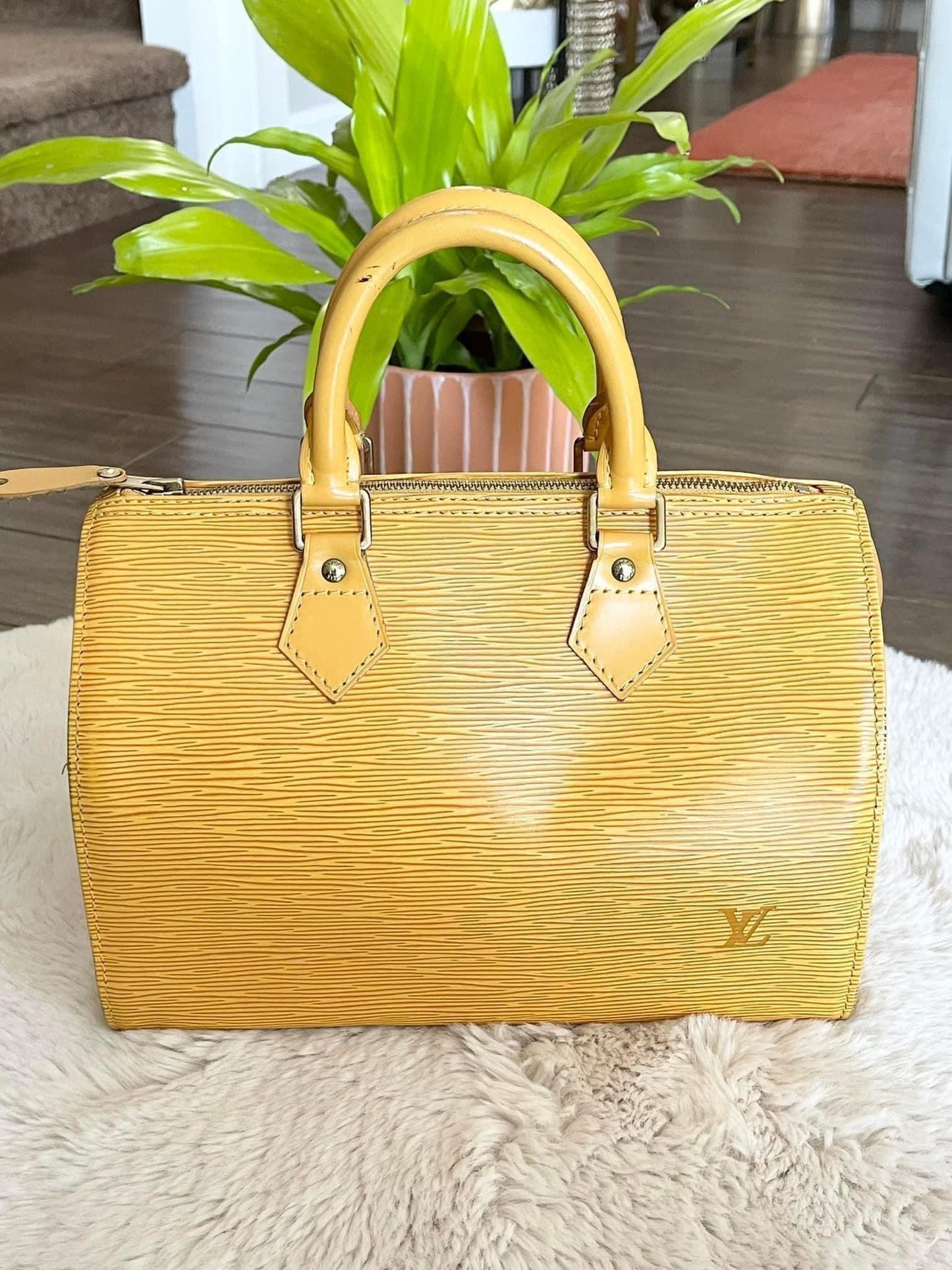 Epi Speedy 25 in Tassel Yellow -Year: 1994