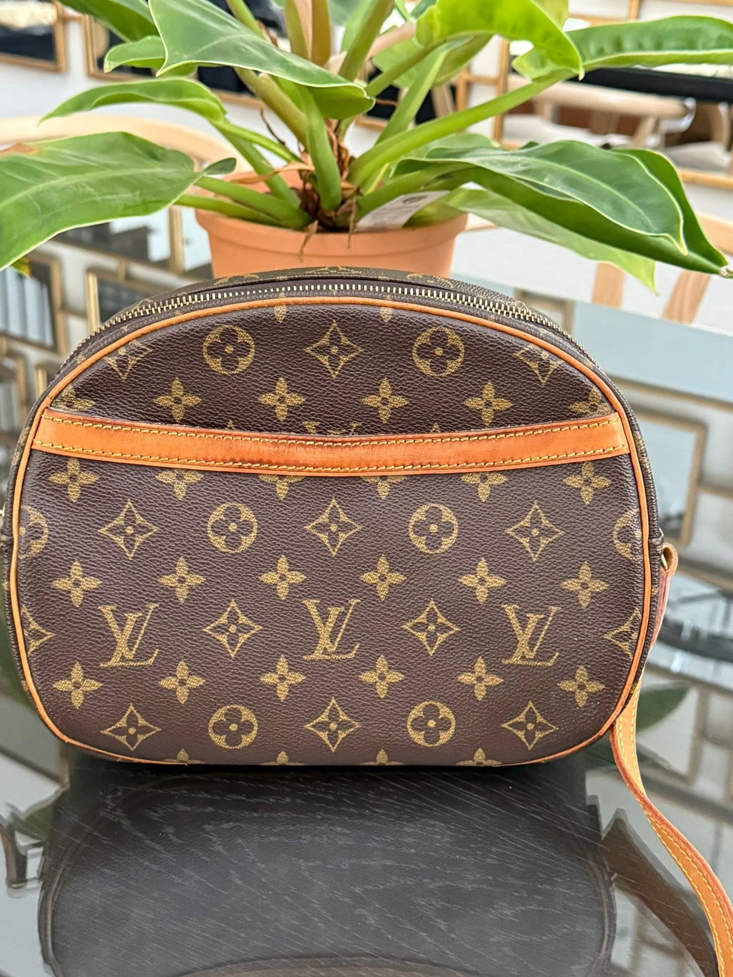 Blois Crossbody -๐๏ธ Year: 1995