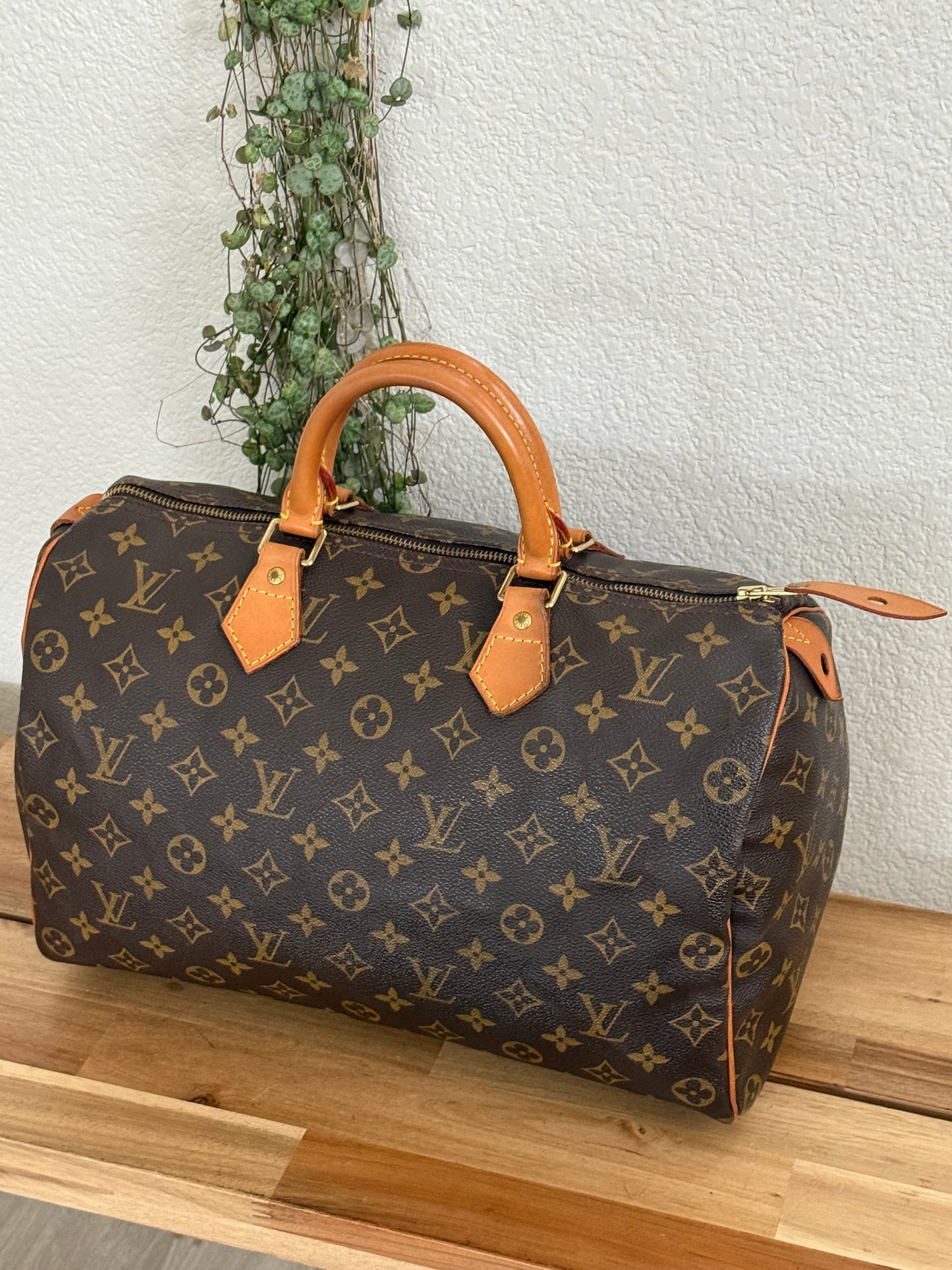 Speedy 35 with Dustbag - ๐
Year: 2000