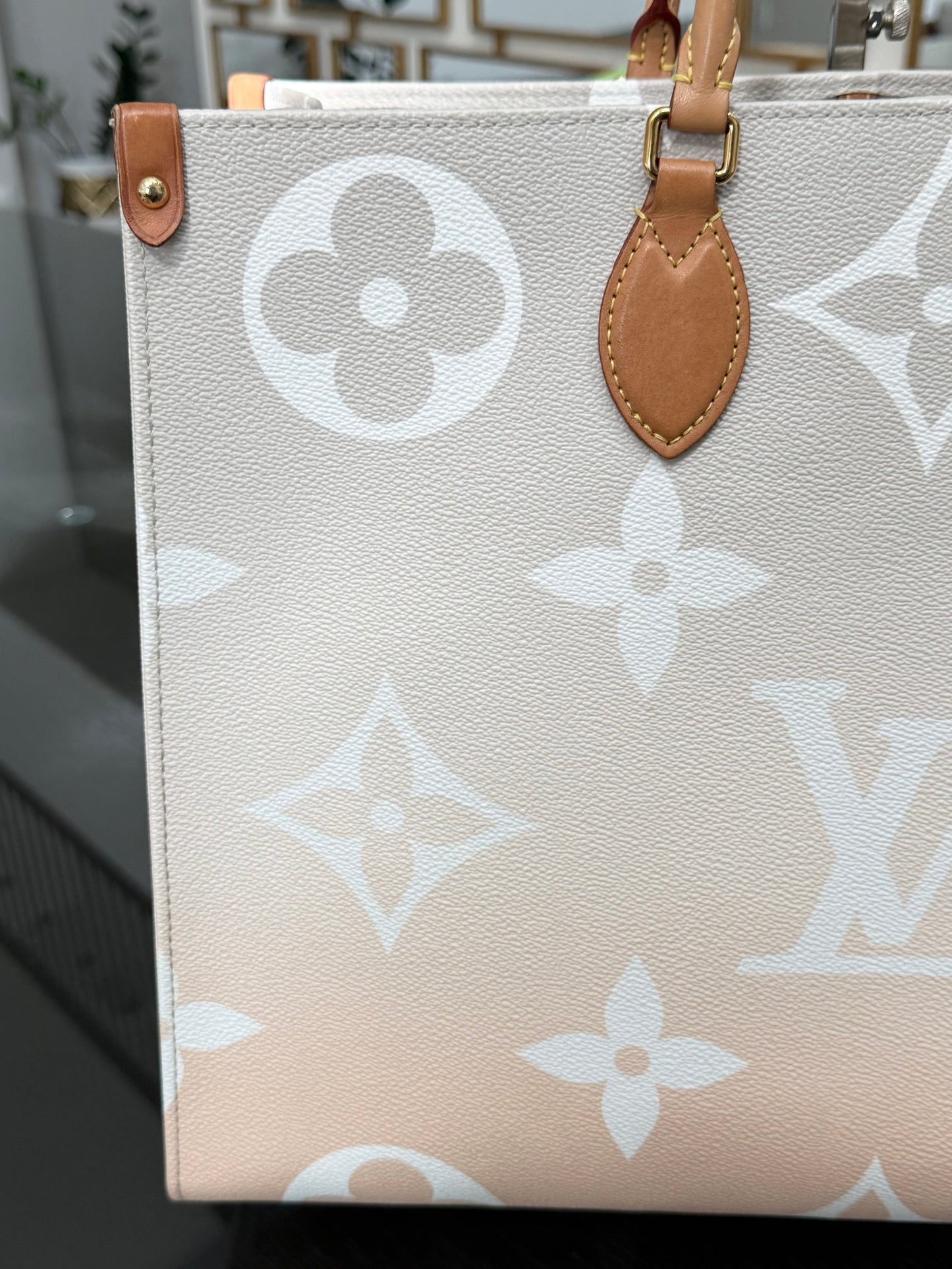 On The Go GM By The Pool in Monogram with Dustbag and Insert Organizer -Microchip