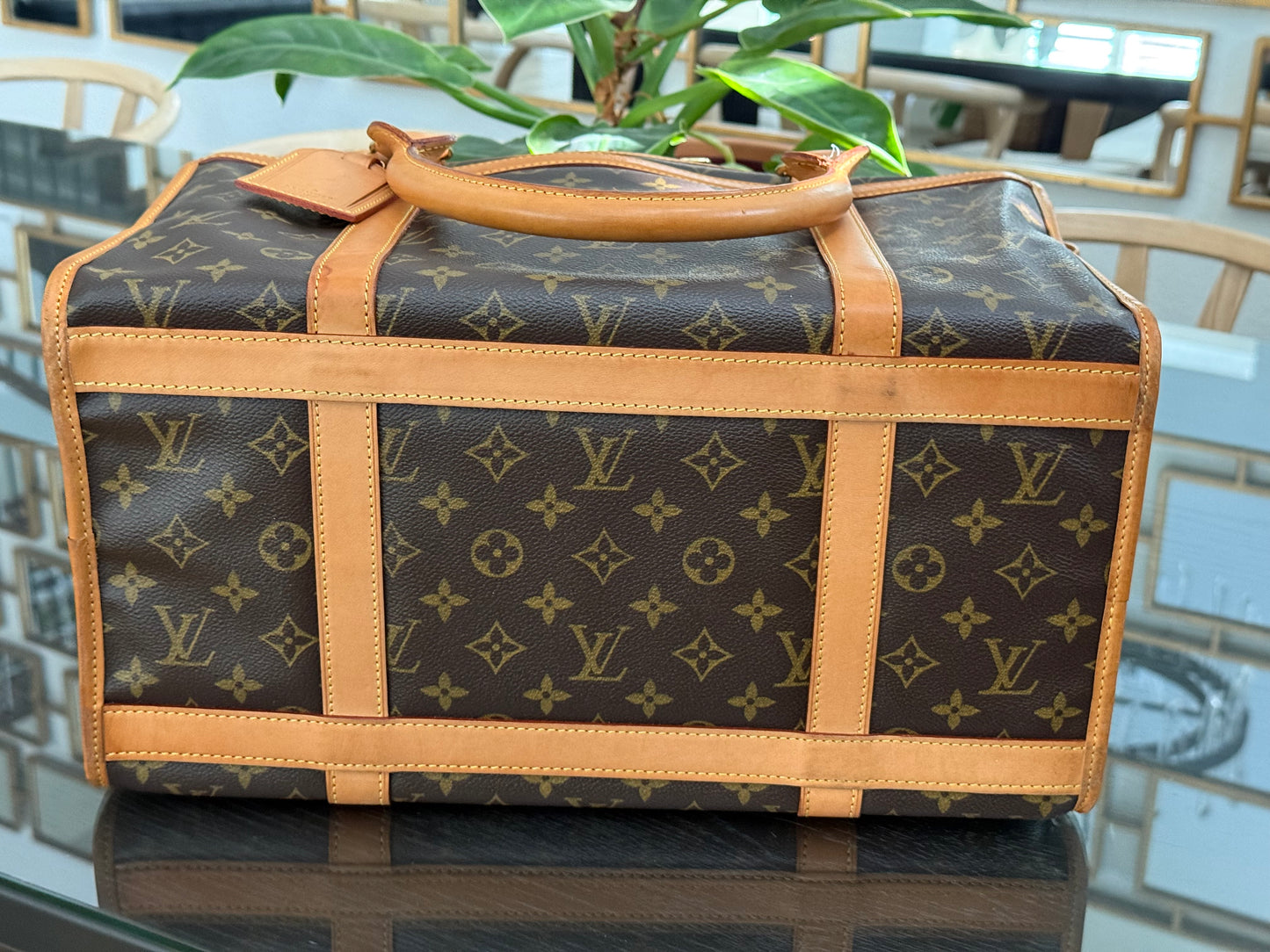 Sac Chien Monogram Pet Carrier 40 with Luggage Tag 🗓️ Year: 2004