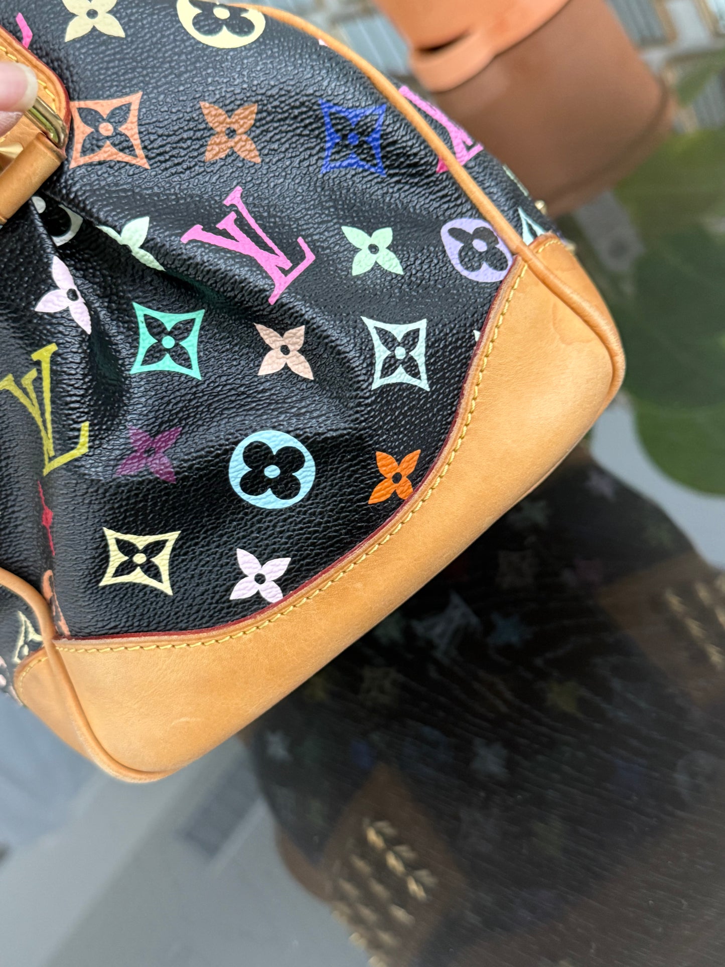 Multicolor Noir Courtney MM with Dustbag