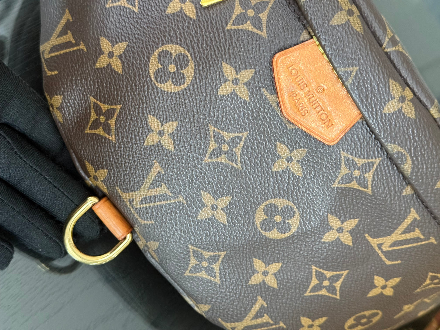 Bumbag Monogram - 🗓️ Microchip