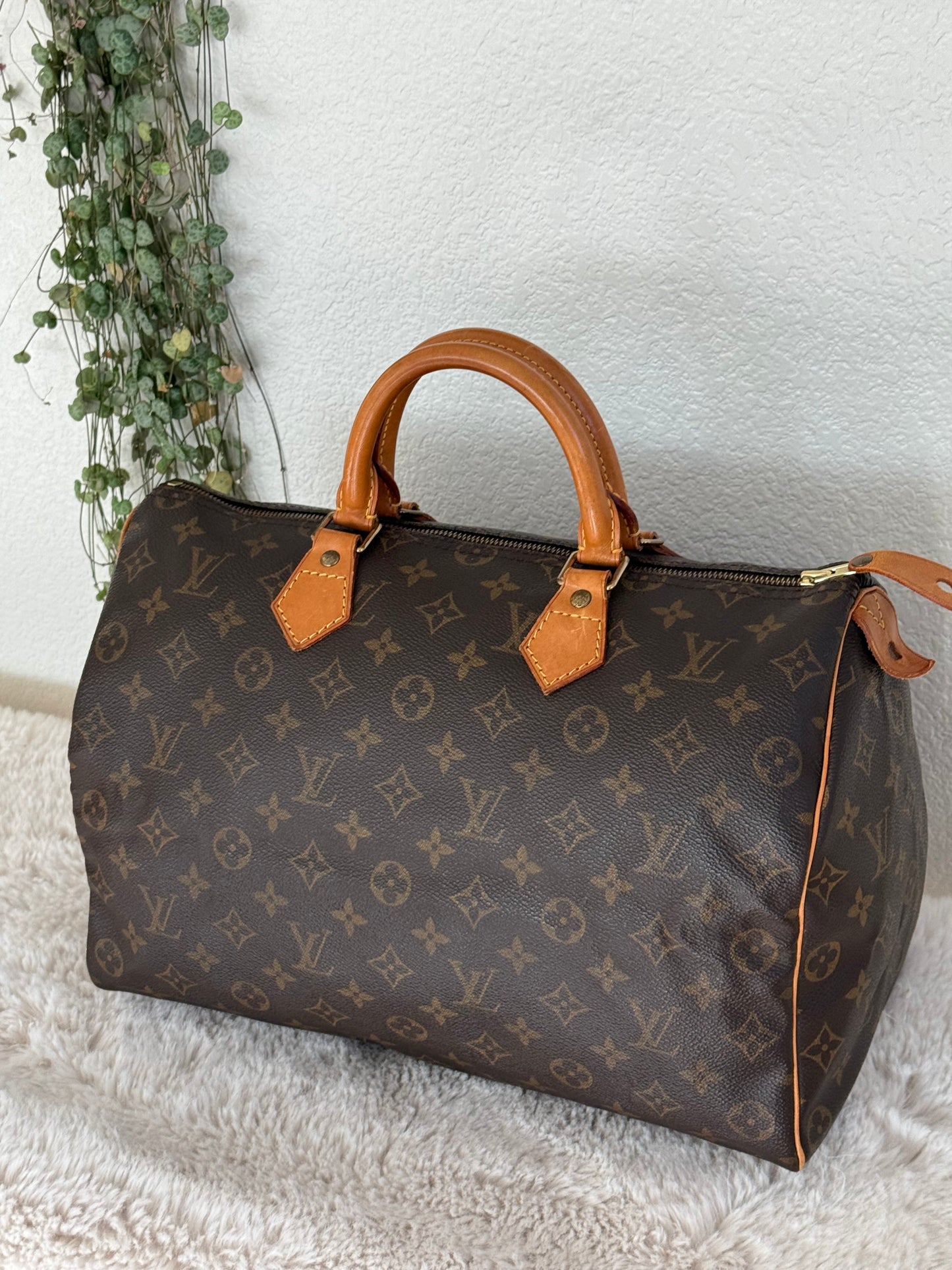 Speedy 35 with Dustbag- π
Year: 1994