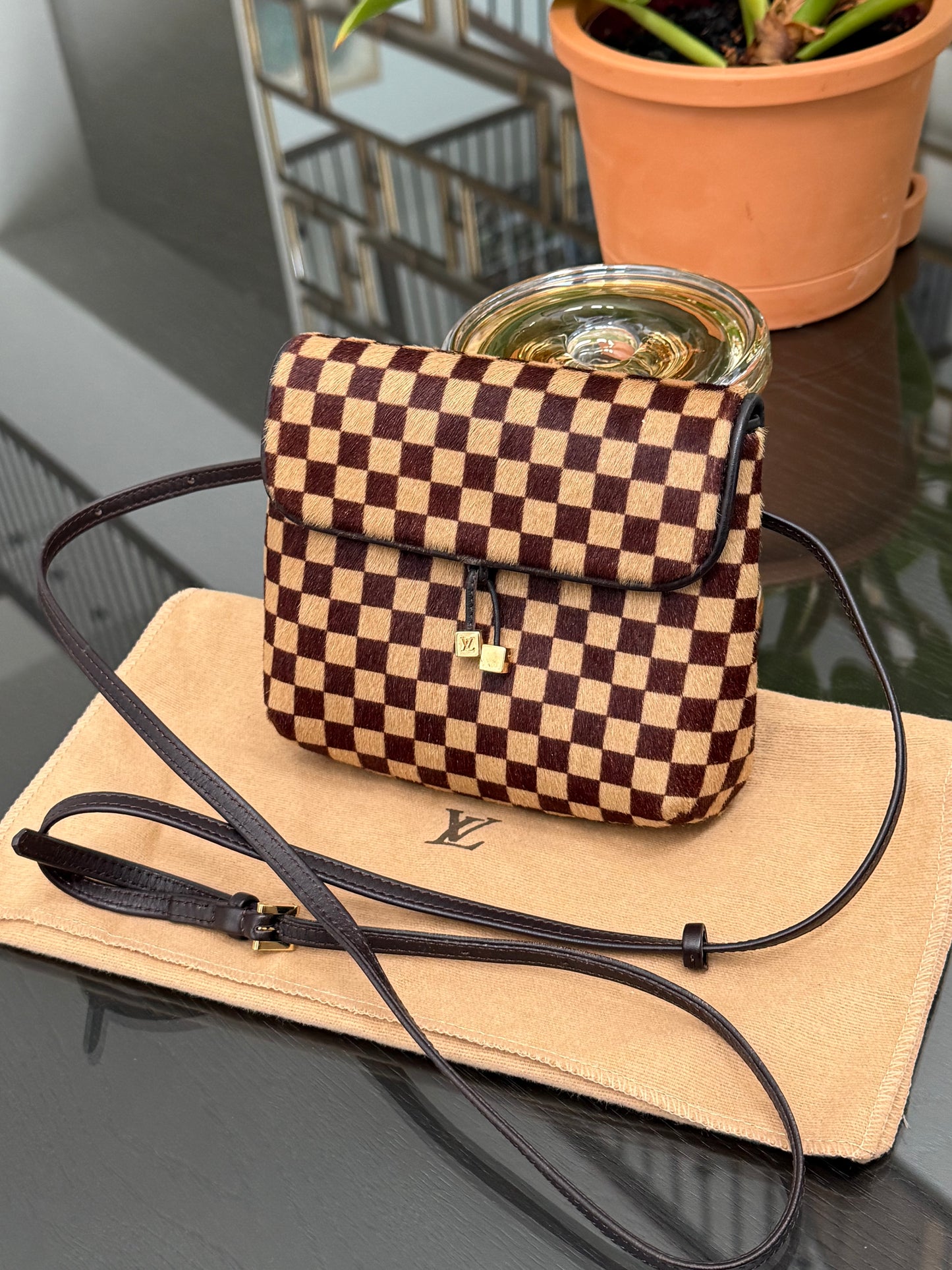 Damier Sauvage Gazelle Crossbody Pouch with Dustbag -🗓️ Year: 2001