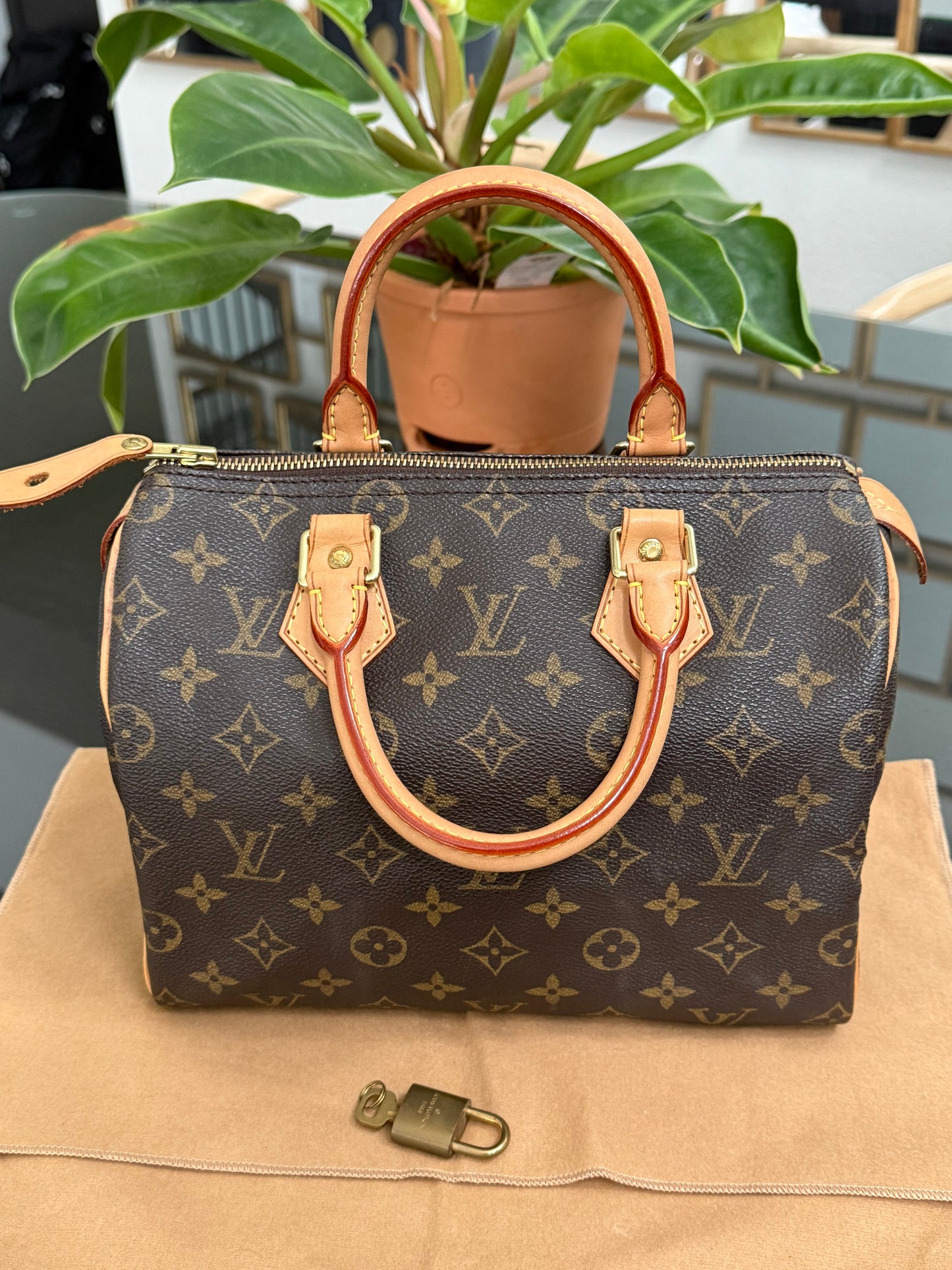 Speedy 25 with π Lock & Key and Dustbag π
Year: 2003