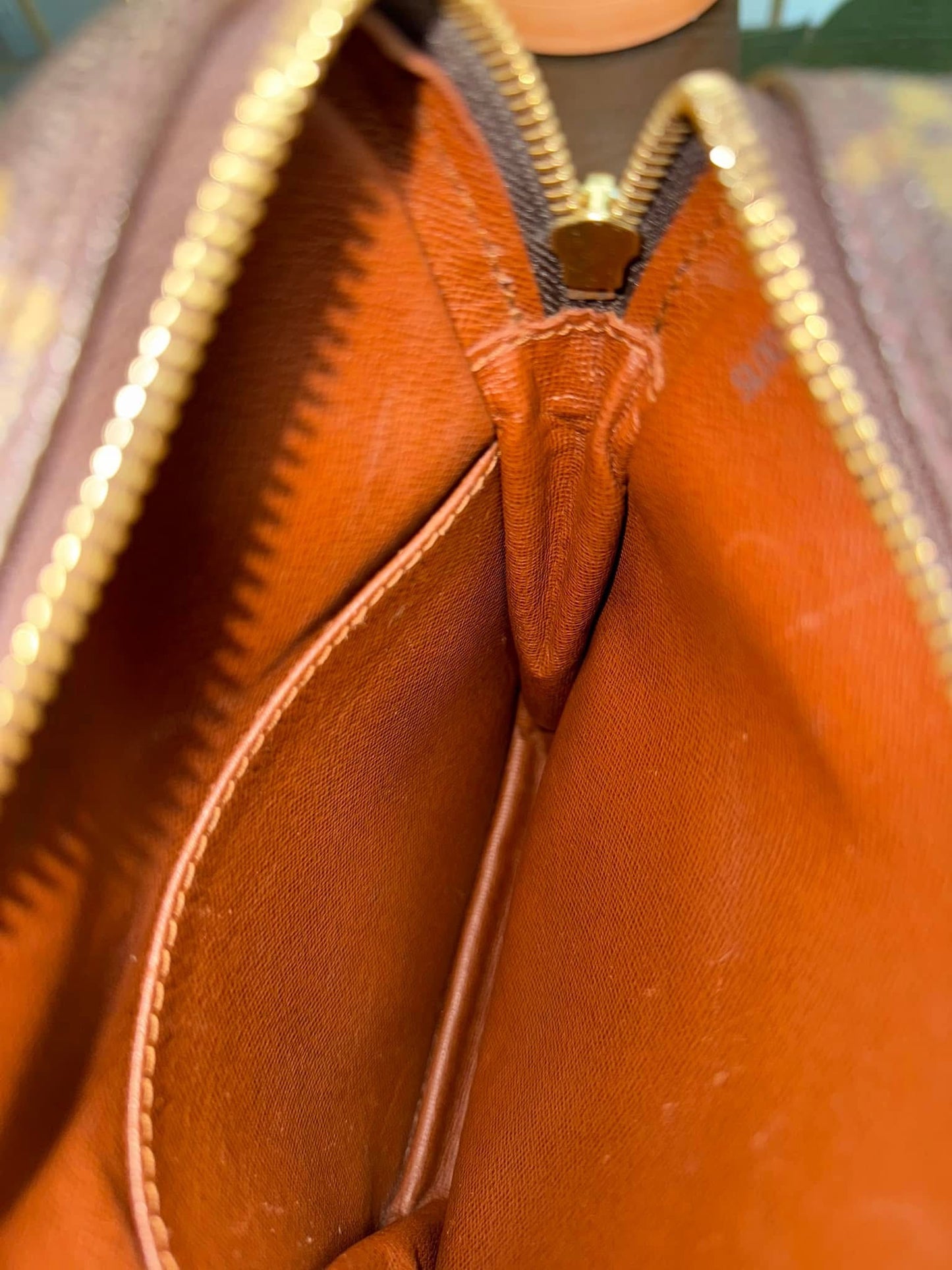 Danube PM Crossbody Bag - Year 2001