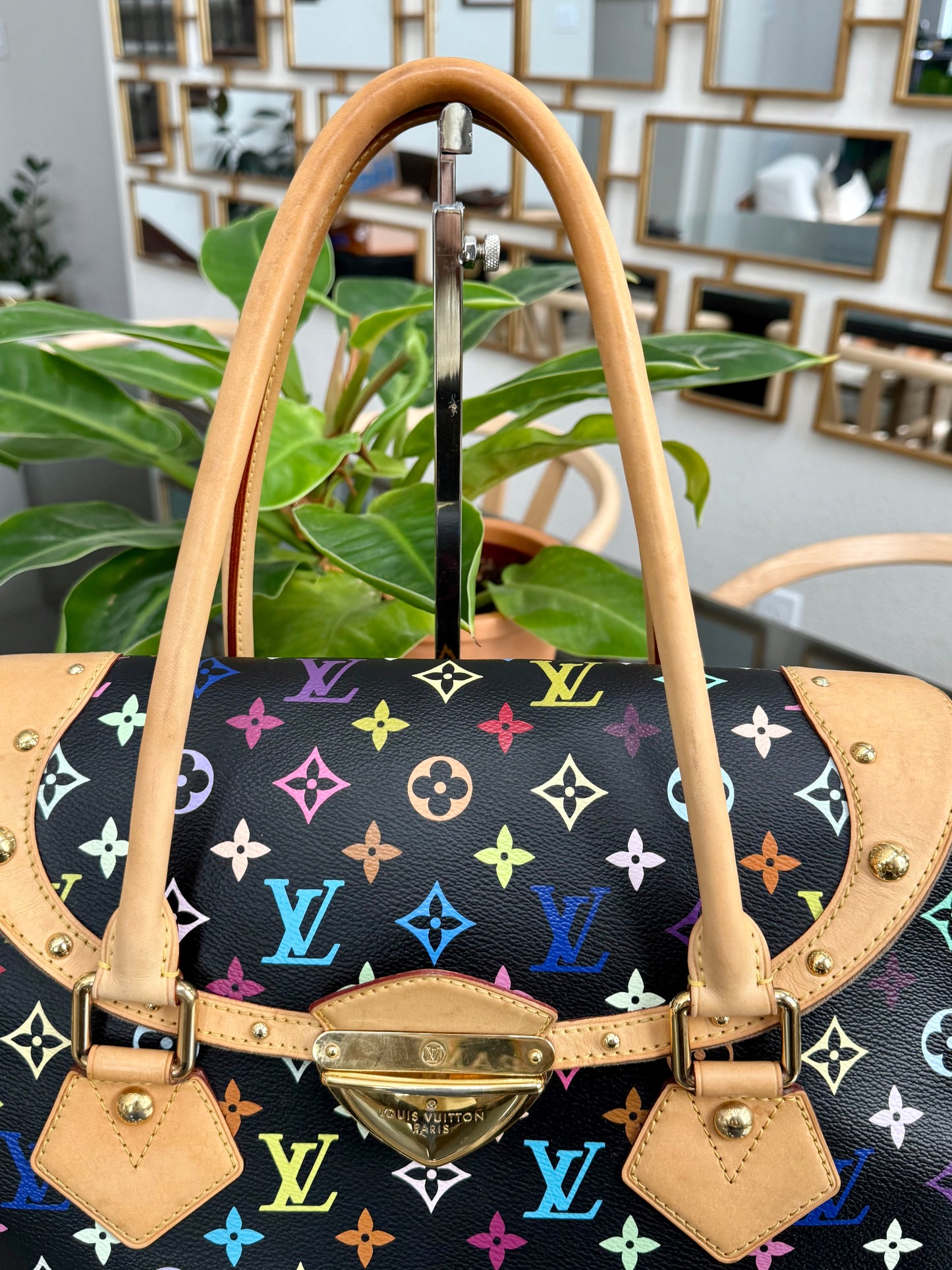 Multicolor Beverly GM with Dustbag π
Year: 2008