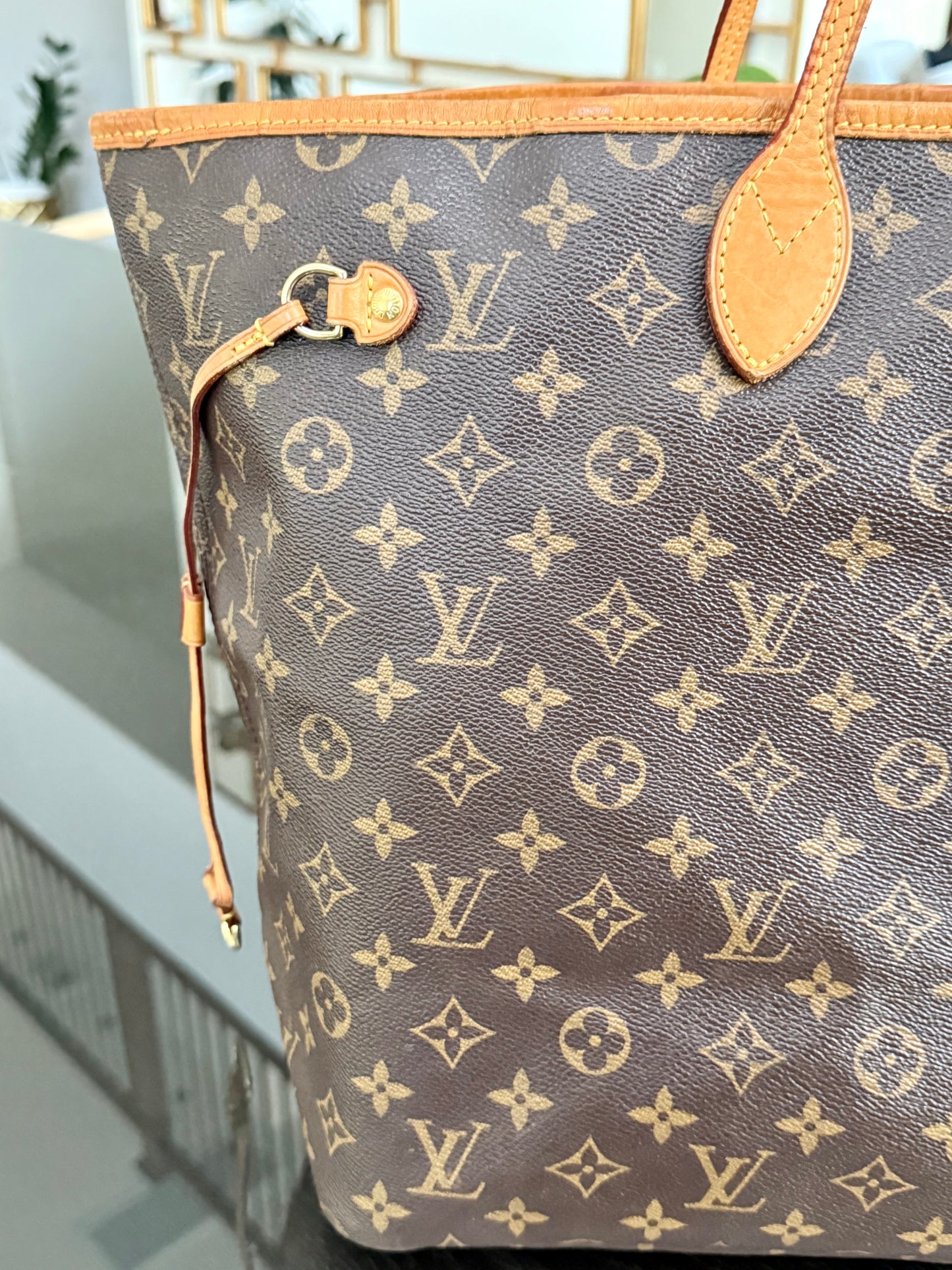 Neverfull GM in Peony with Dustbag 🗓️ Year: 2016