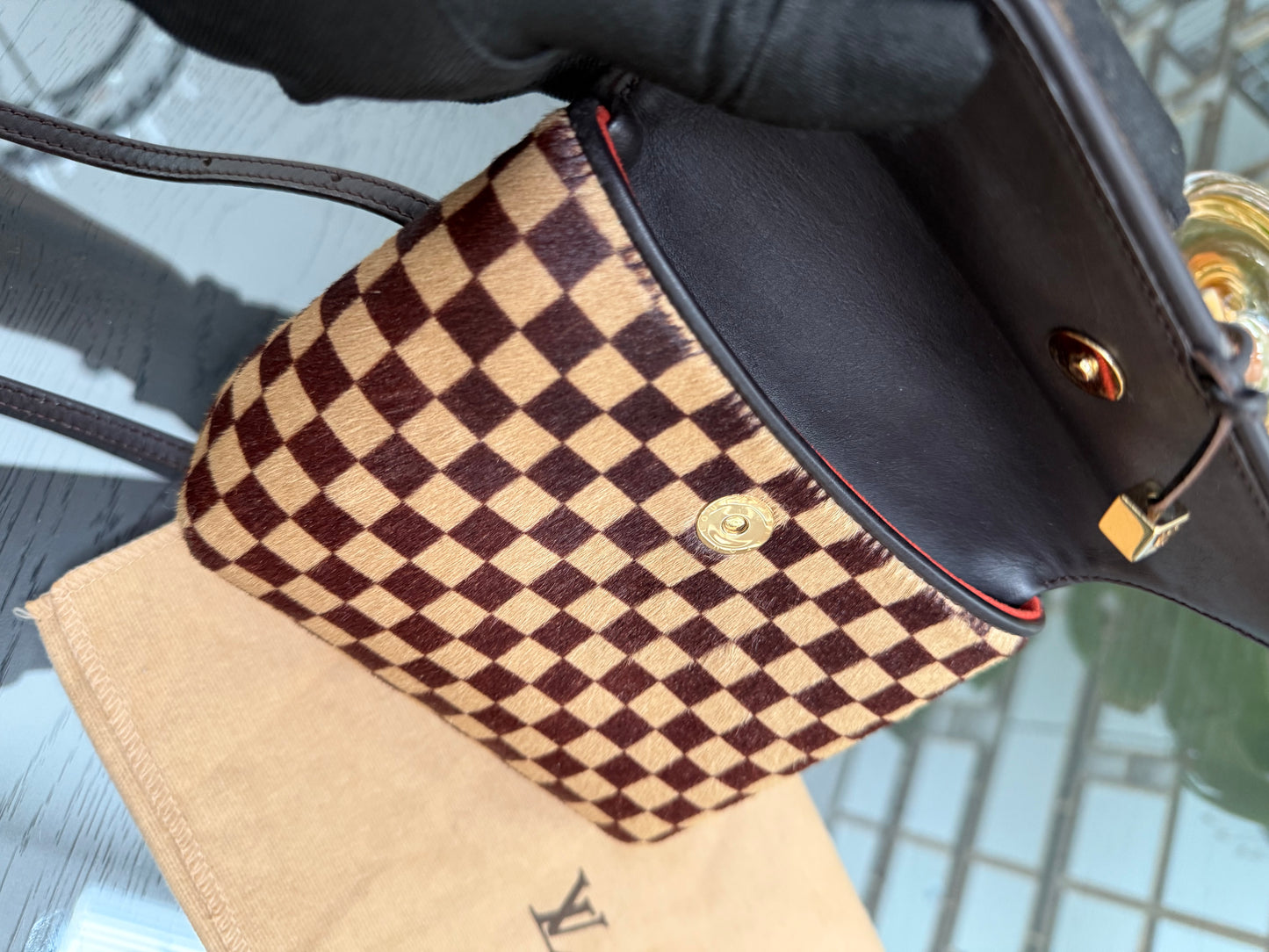 Damier Sauvage Gazelle Crossbody Pouch with Dustbag -🗓️ Year: 2001