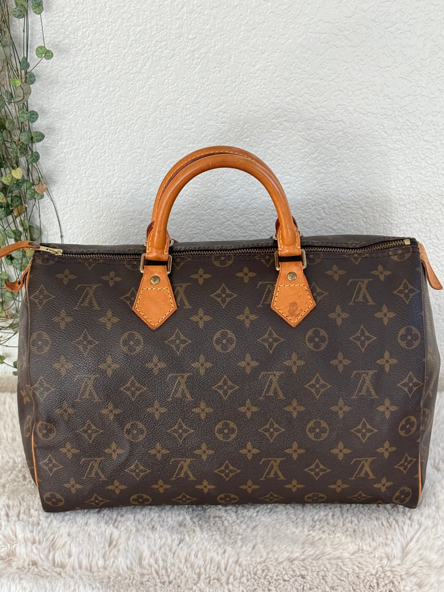Speedy 35 with Dustbag- π
Year: 1994