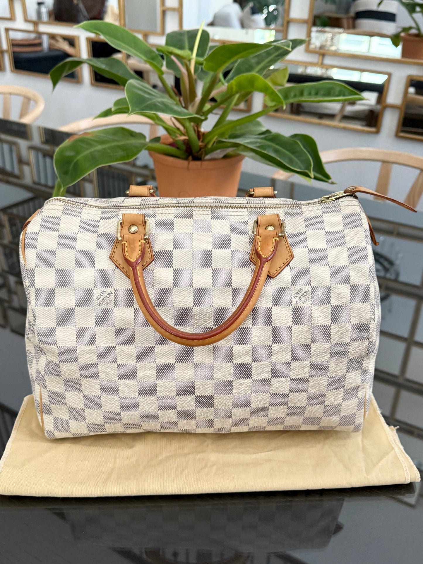 Speedy 30 Azur with Dustbag and insert organizer
๐๏ธ Year: 2007