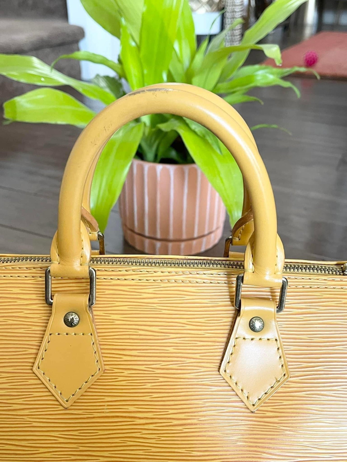 Epi Speedy 25 in Tassel Yellow -Year: 1994