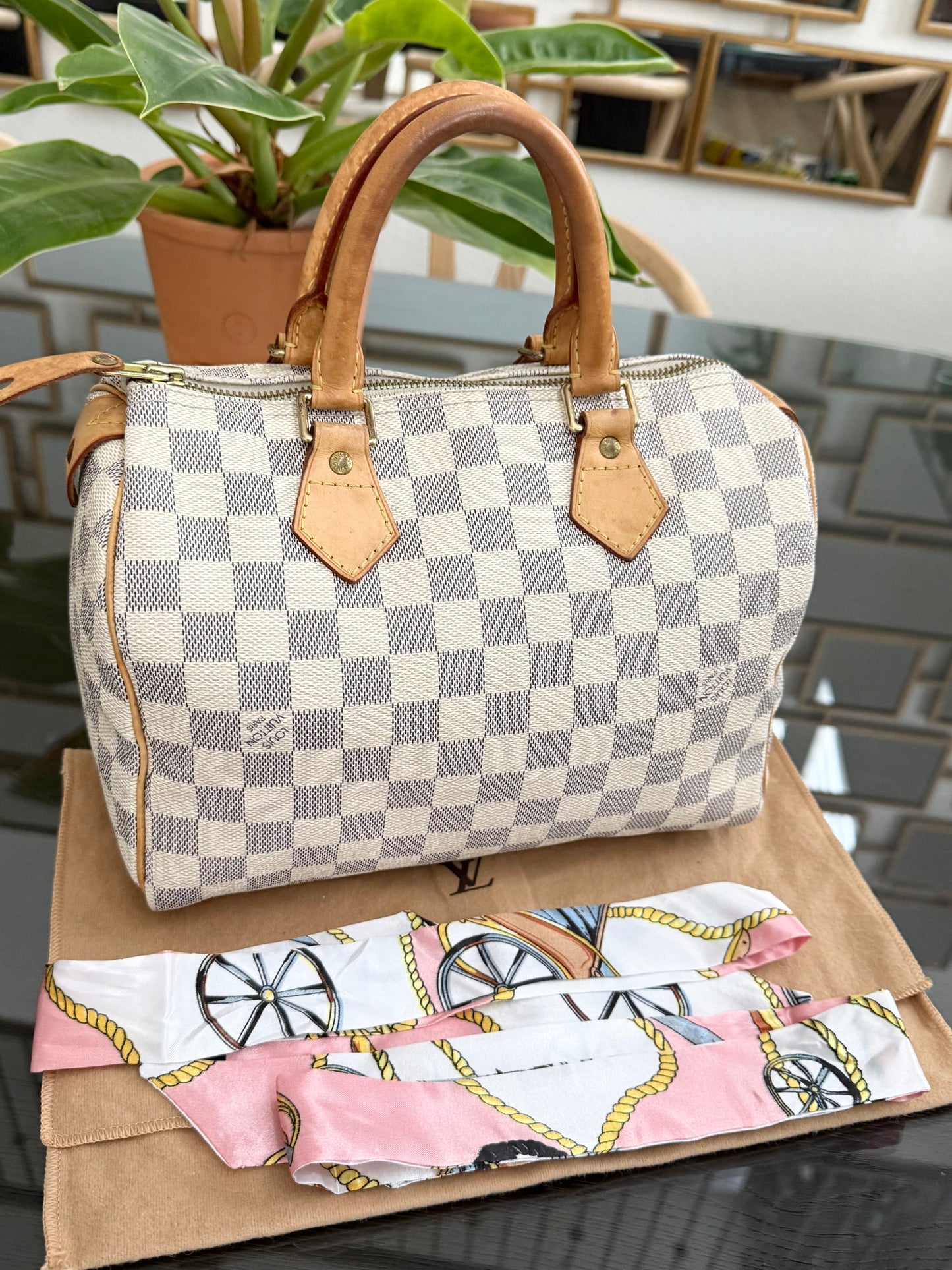 Speedy 25 Azur with Dustbag, insert organizer and twilly
๐๏ธ Year: 2007
