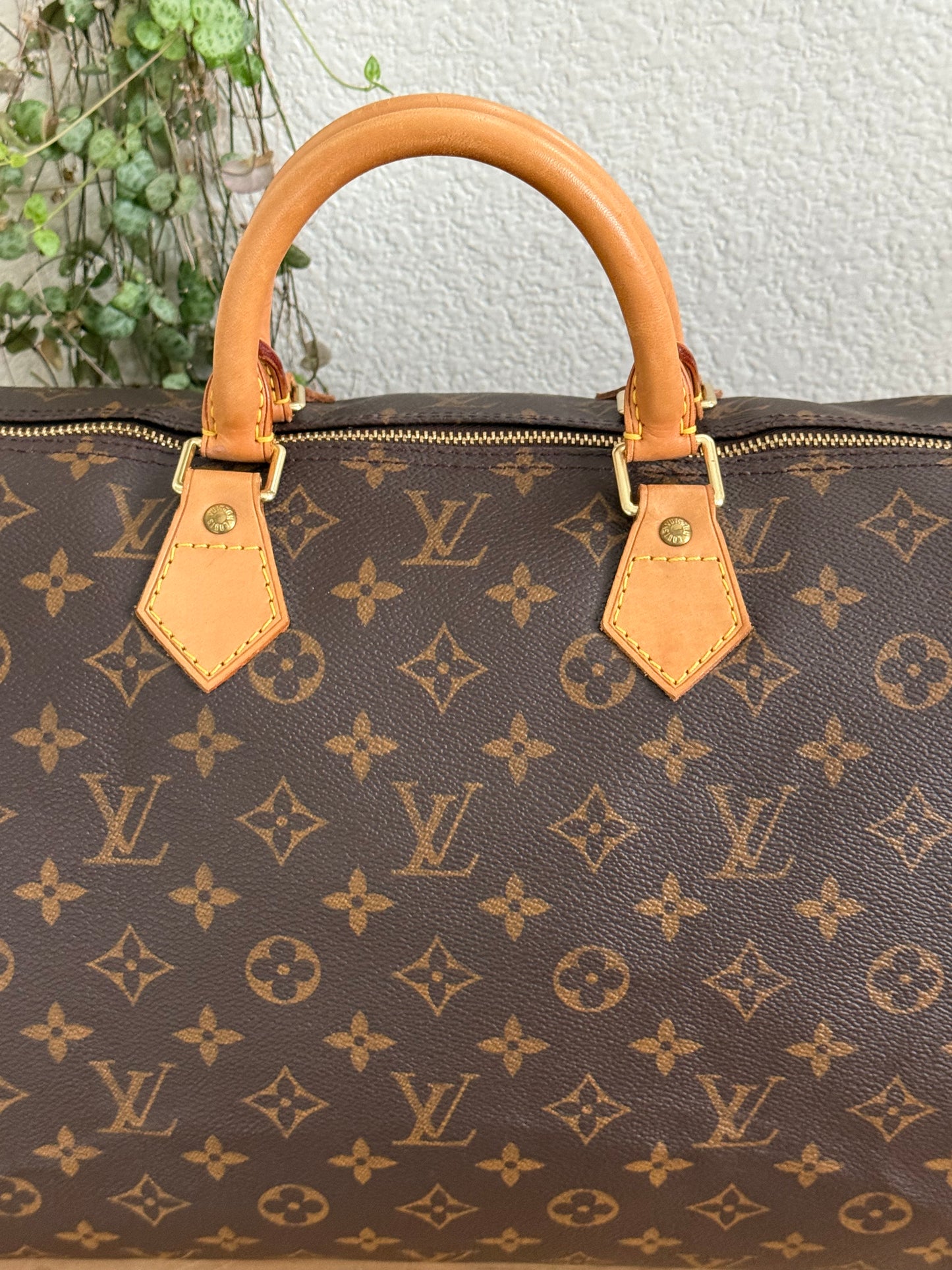 Speedy 40 - ๐
2000