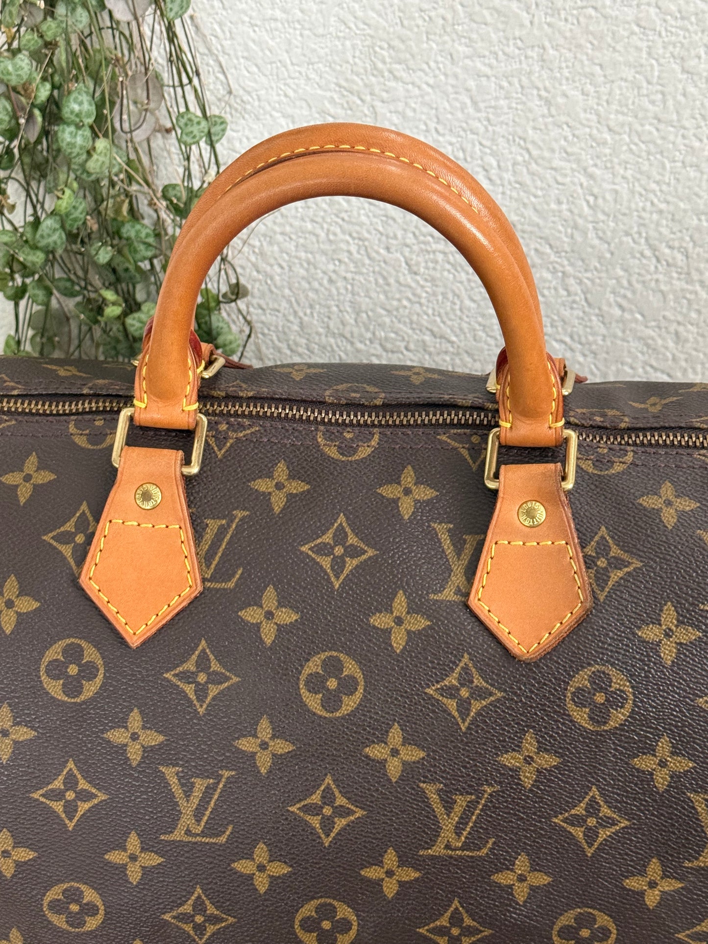 Speedy 35 with Dustbag - ๐
Year: 2000