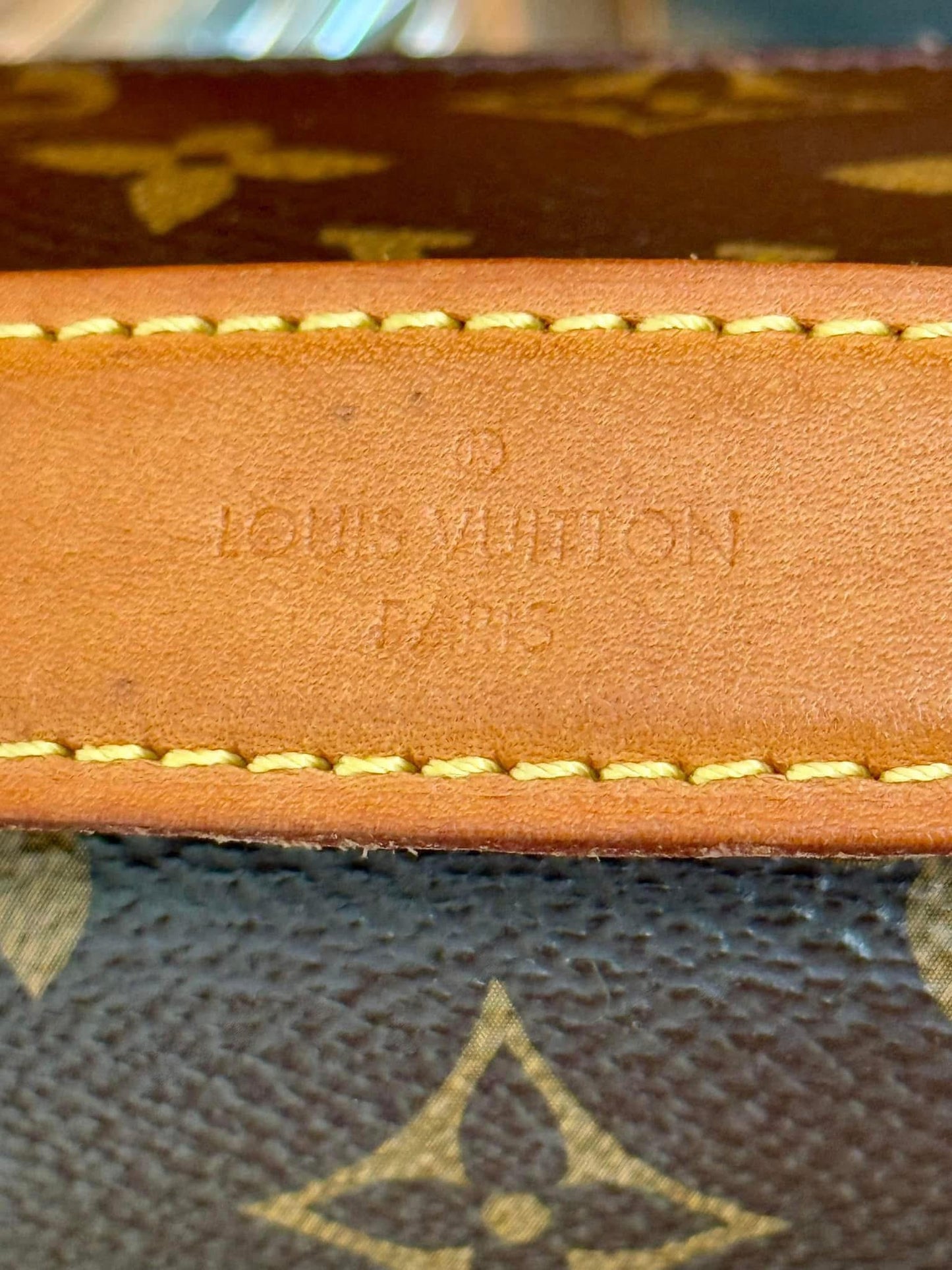 Pochette Metis with Box, Dustbag and Paper bag -Microchip & Authenticed