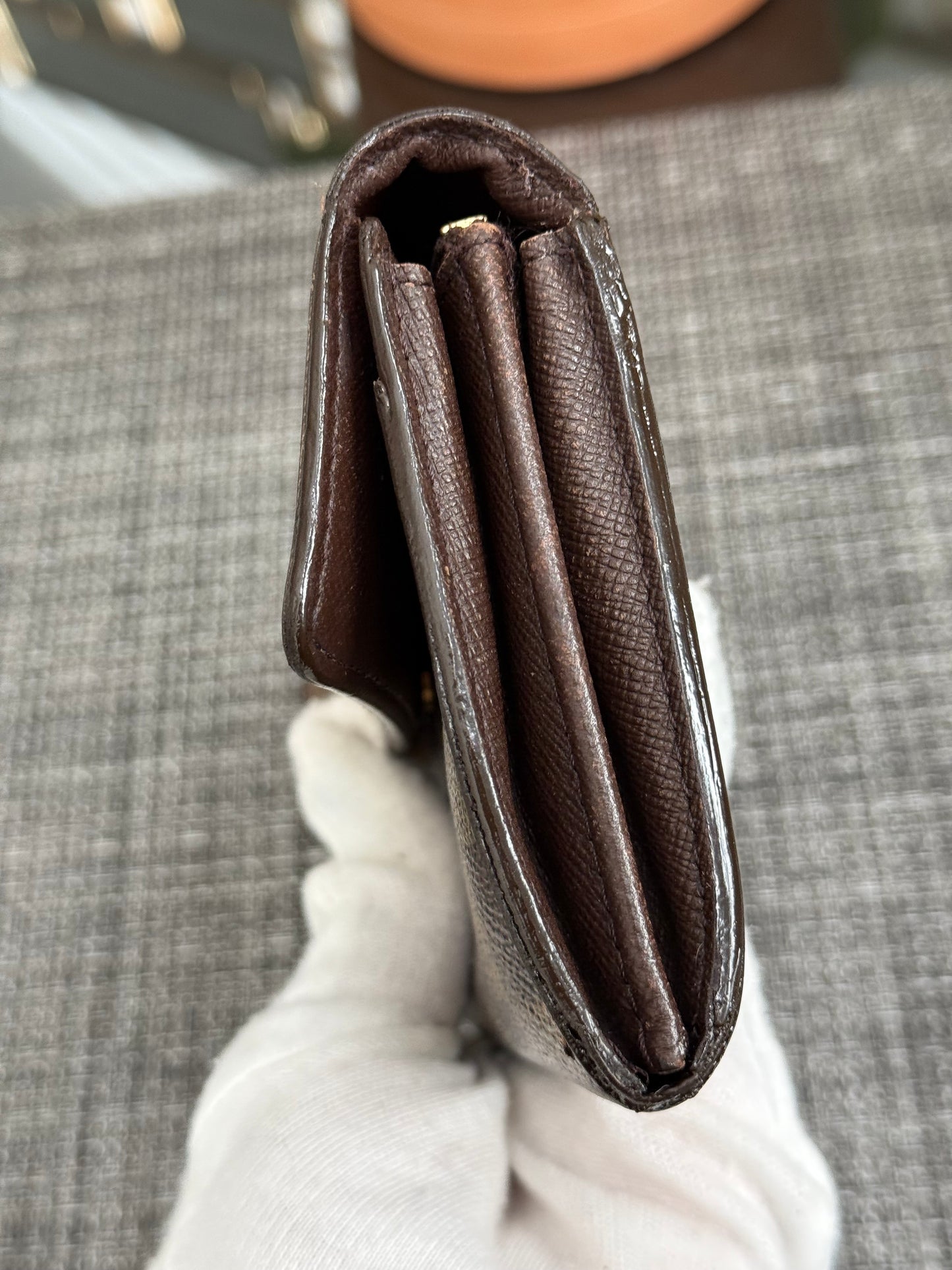 Sarah Wallet in DE with 6 Cardholders - Year 2005